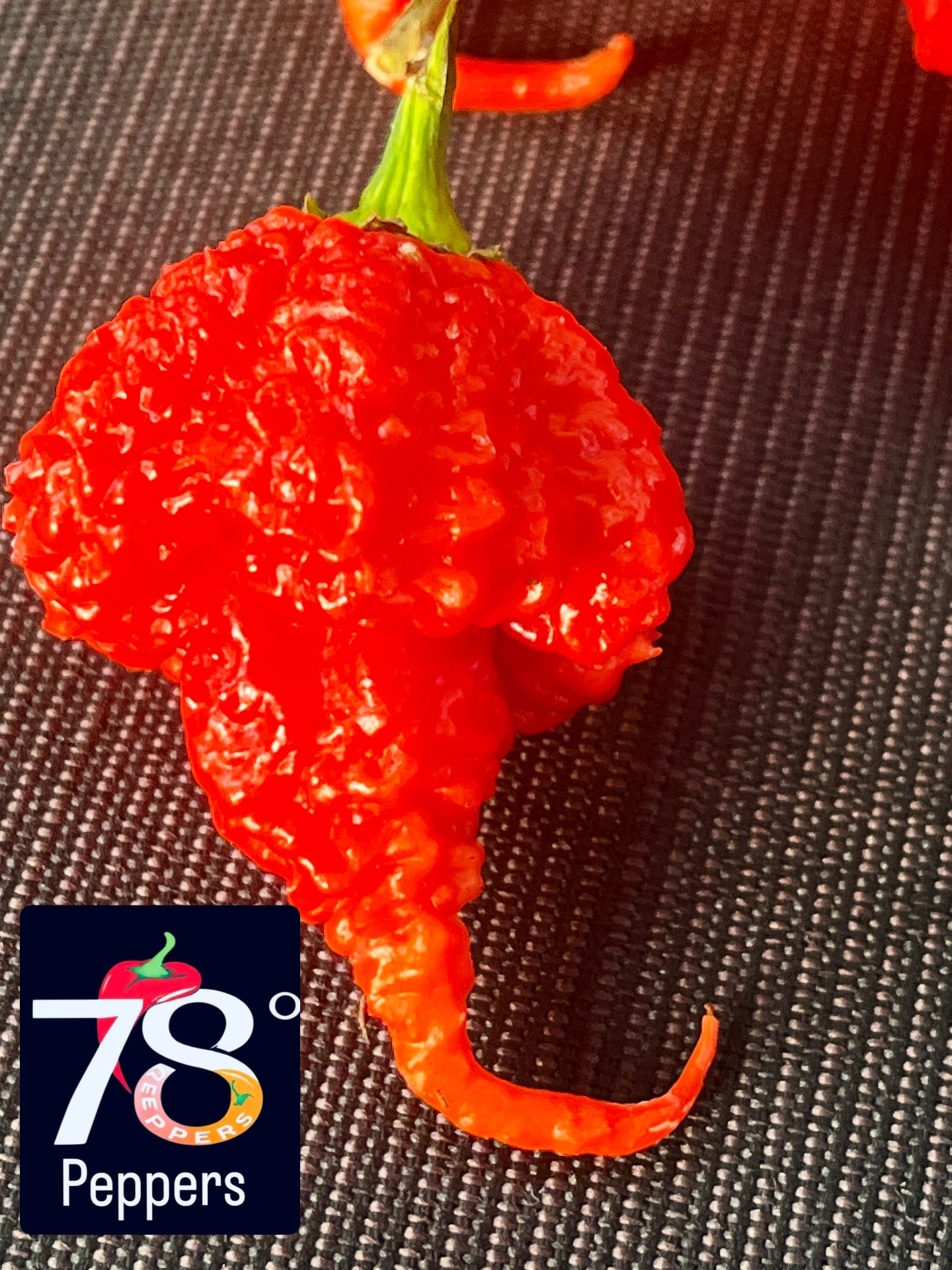 RB003 seeds