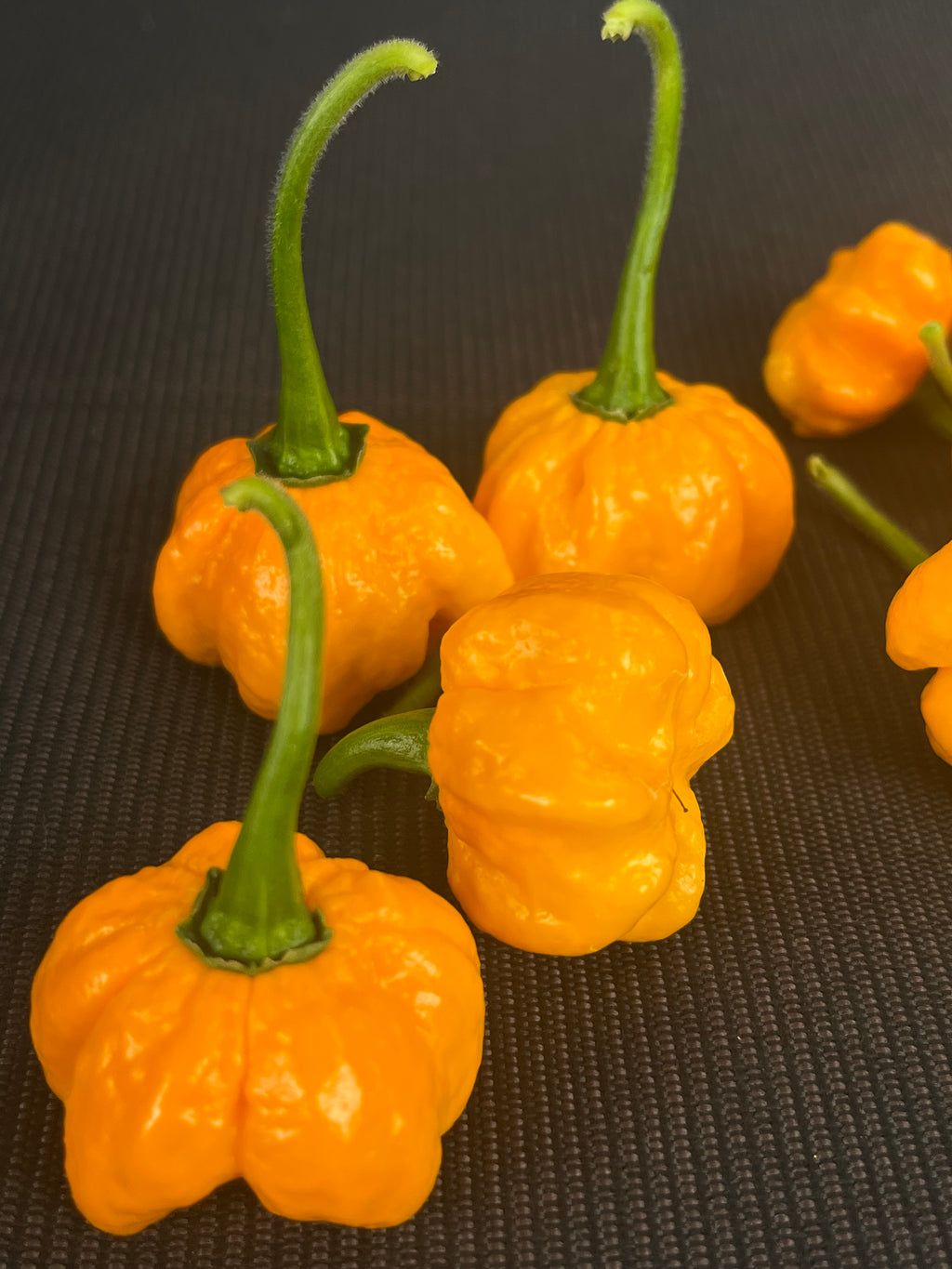 KS Sriracha orange pumpkins seeds