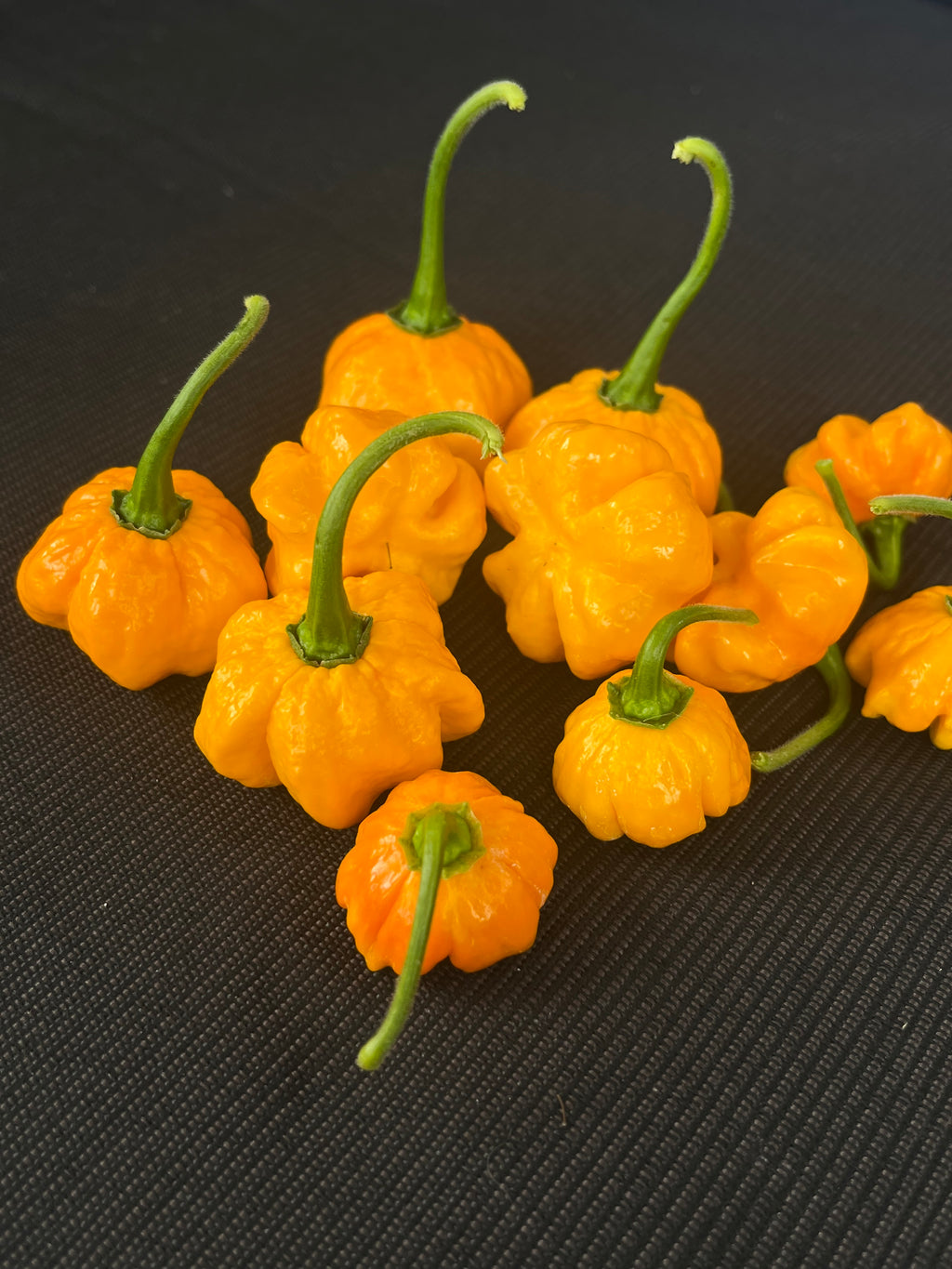KS Sriracha orange pumpkins seeds