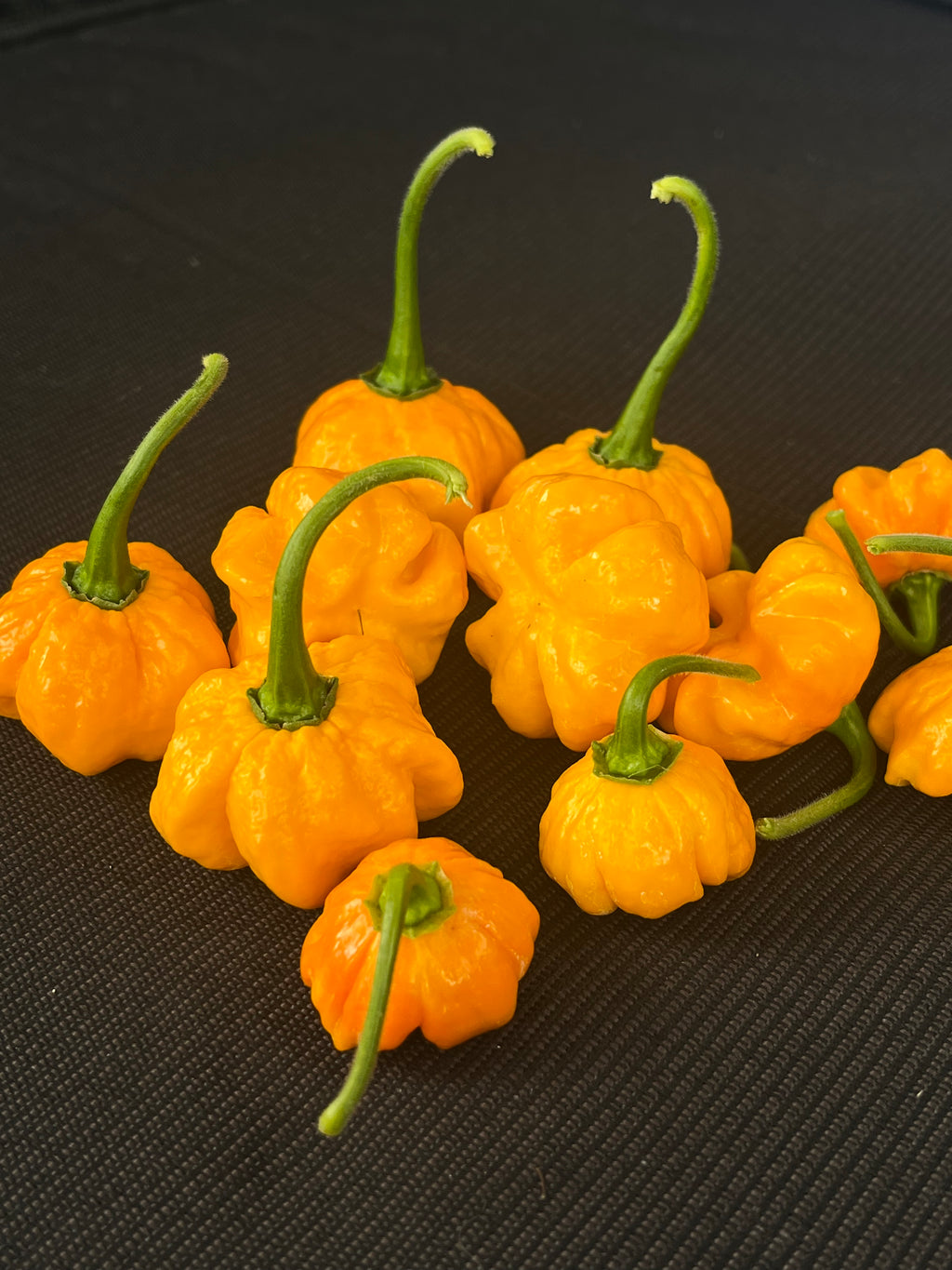 KS Sriracha orange pumpkins seeds