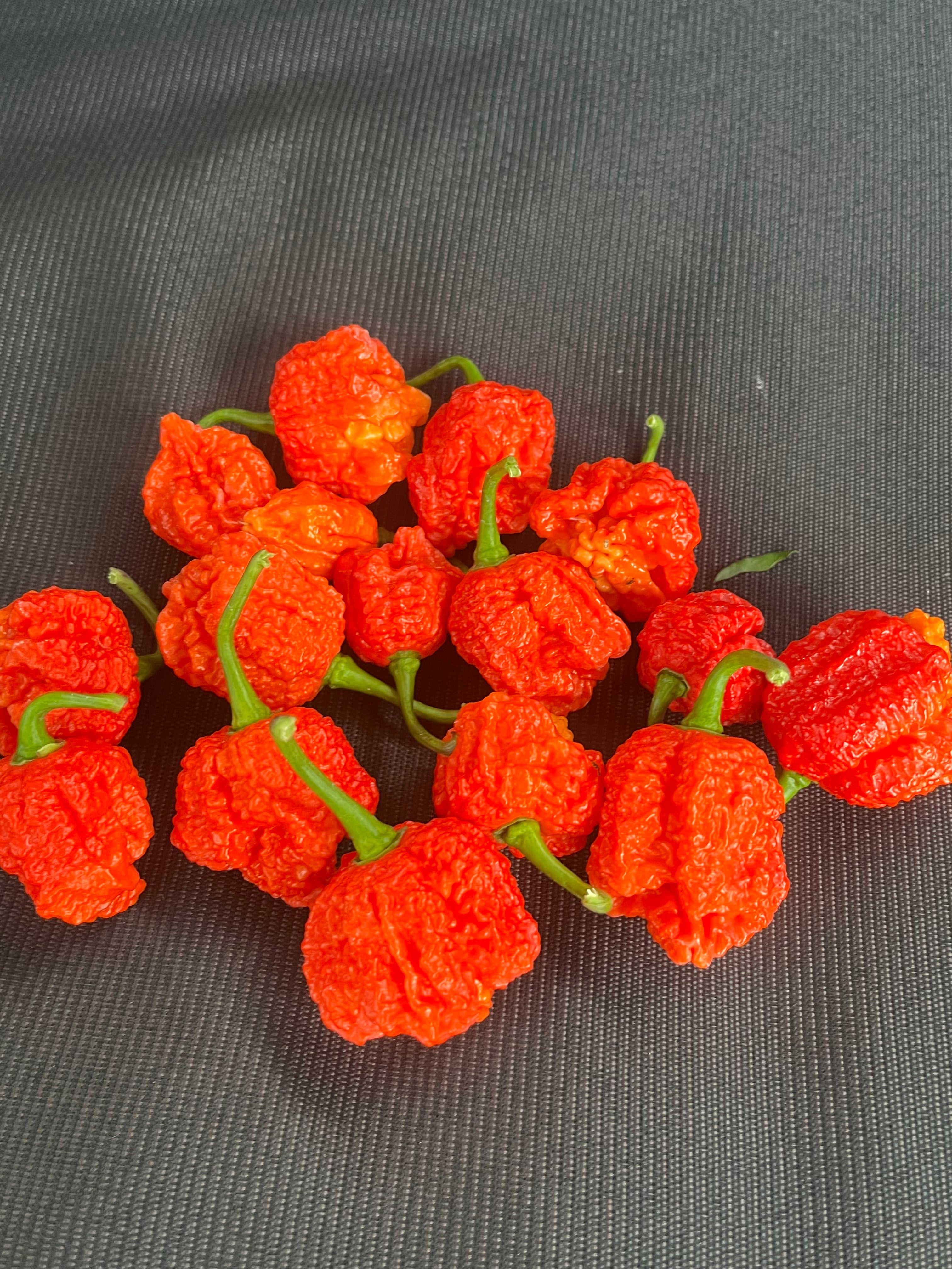 Dragons breath seeds