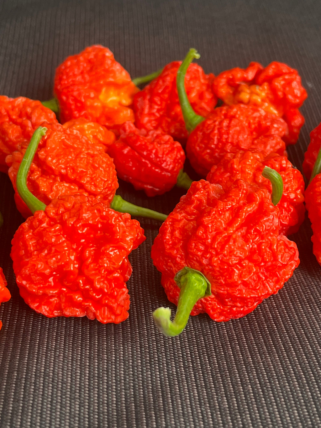 Dragons breath seeds