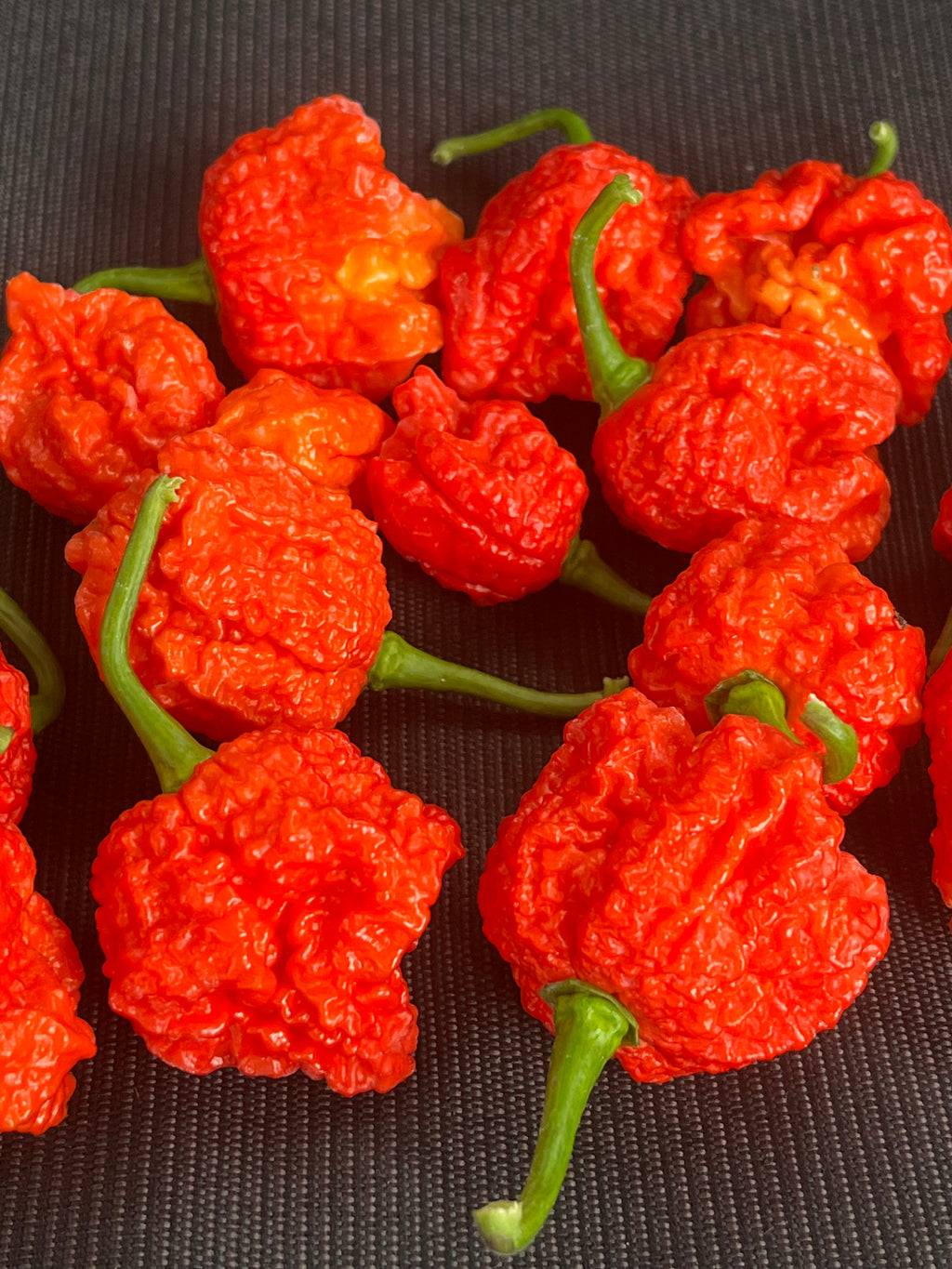 Dragons breath seeds