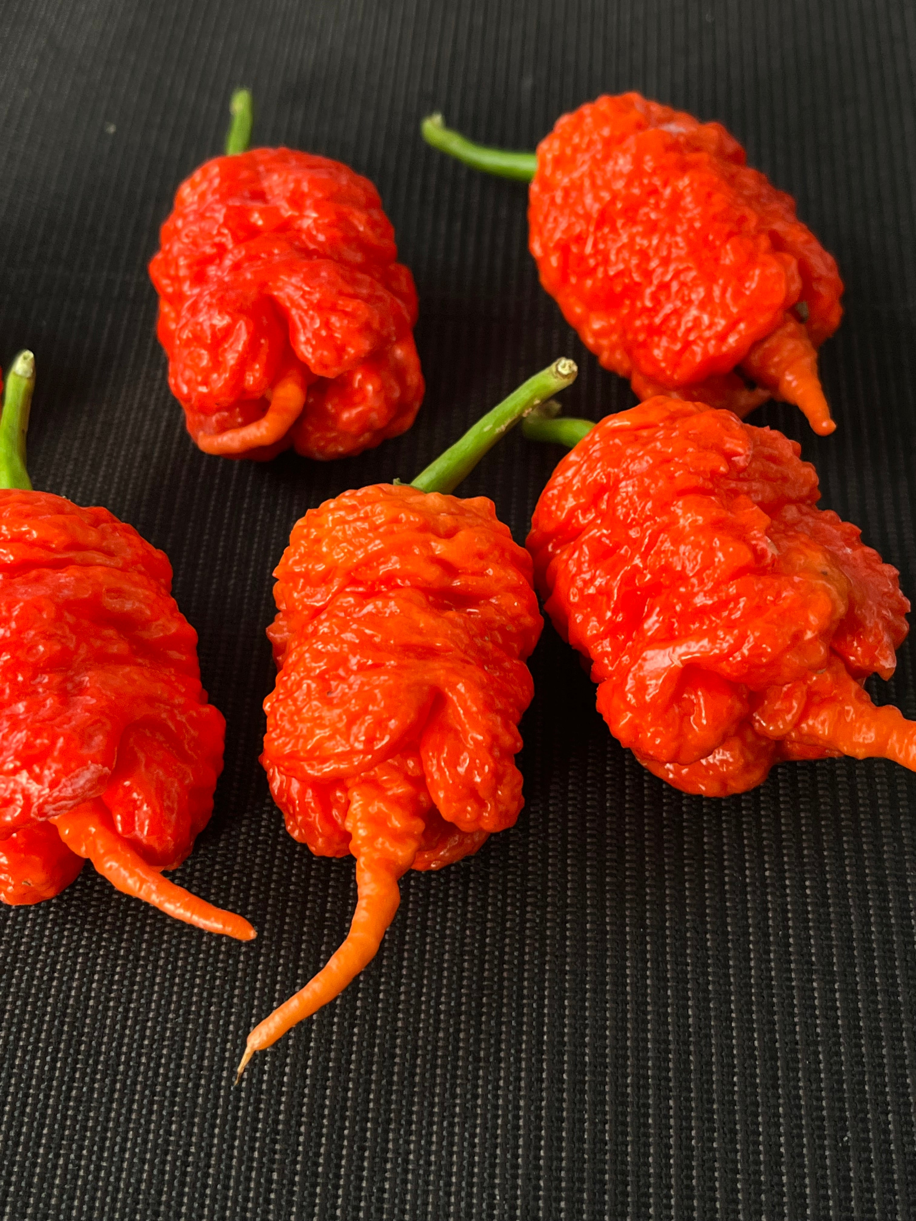 Kevin‘s red fried chicken (F3) seeds