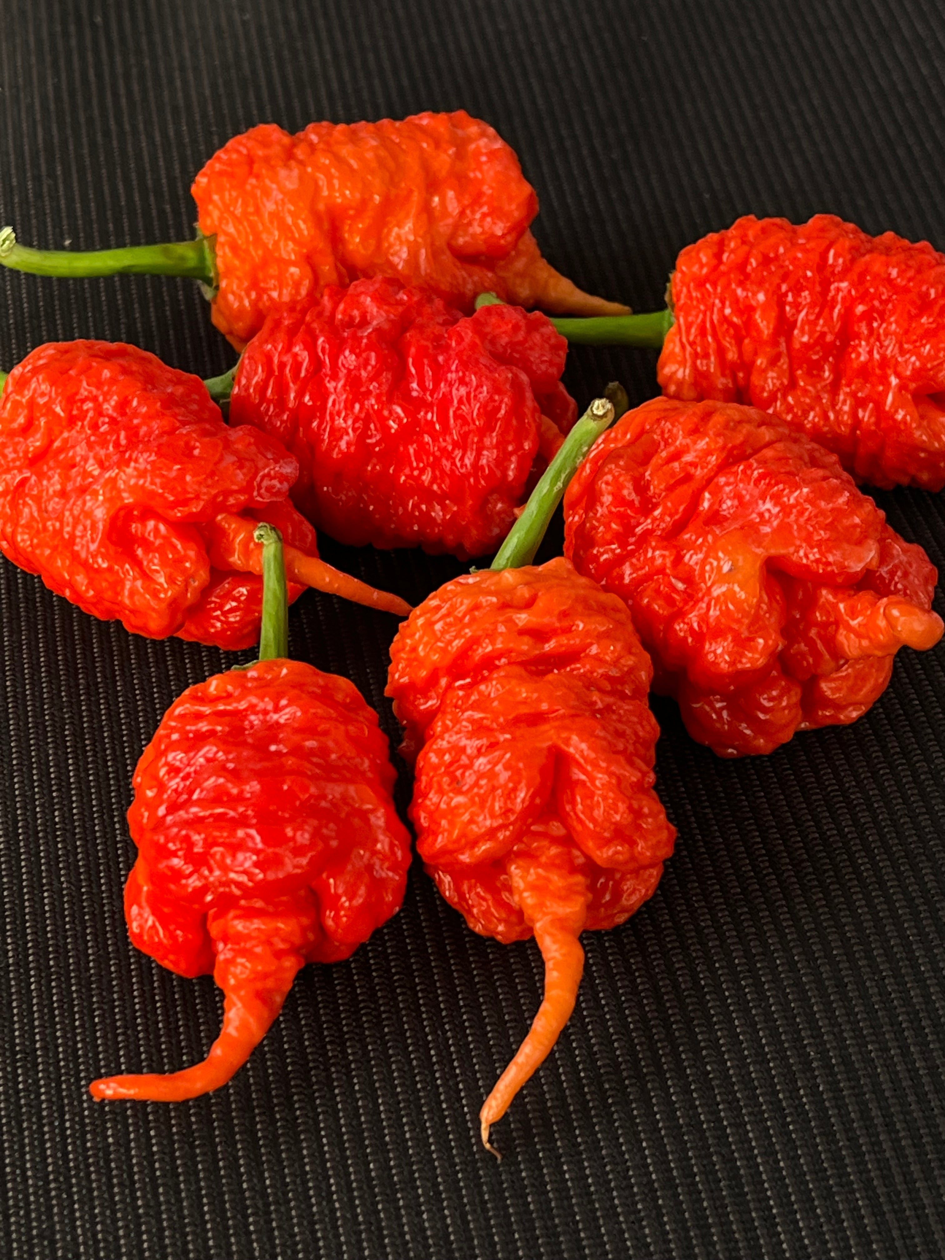 Kevin‘s red fried chicken (F3) seeds