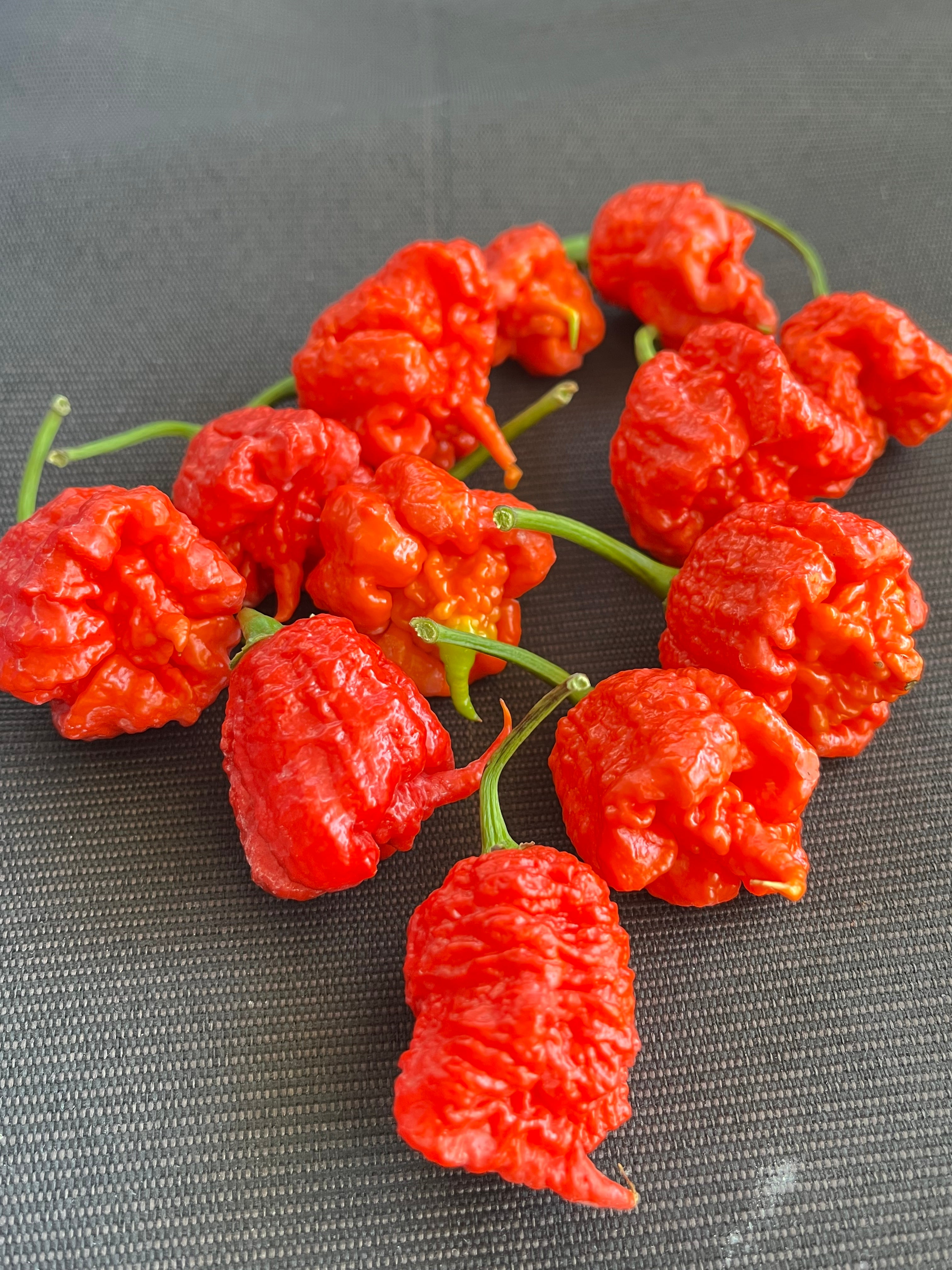 Carolina reaper red seeds