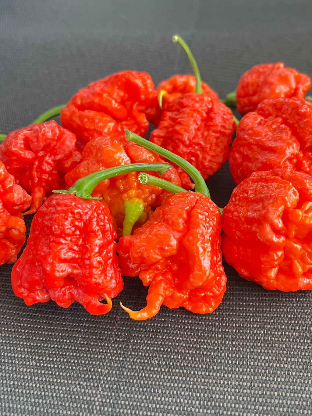 Carolina reaper red seeds