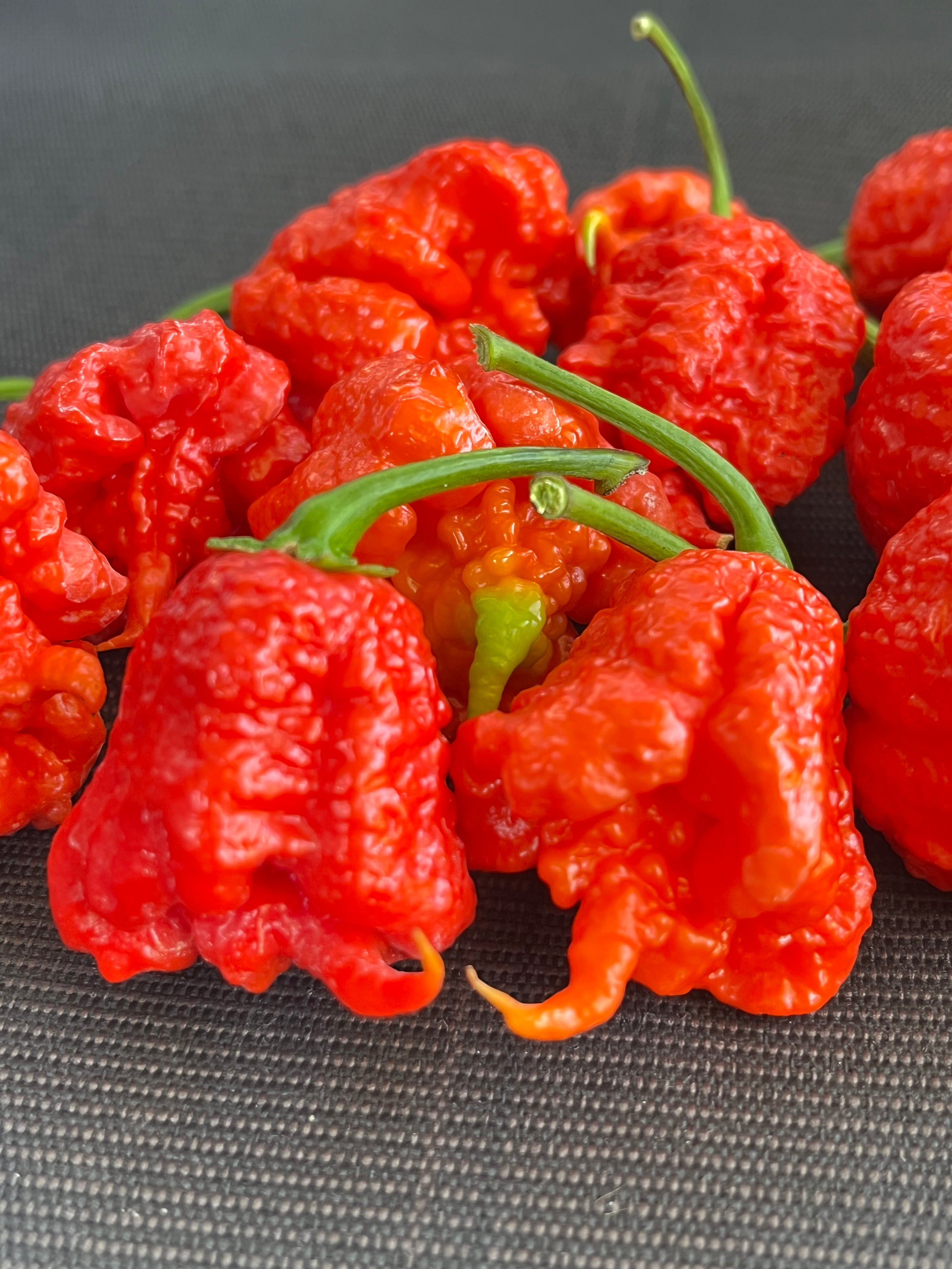 Carolina reaper red seeds