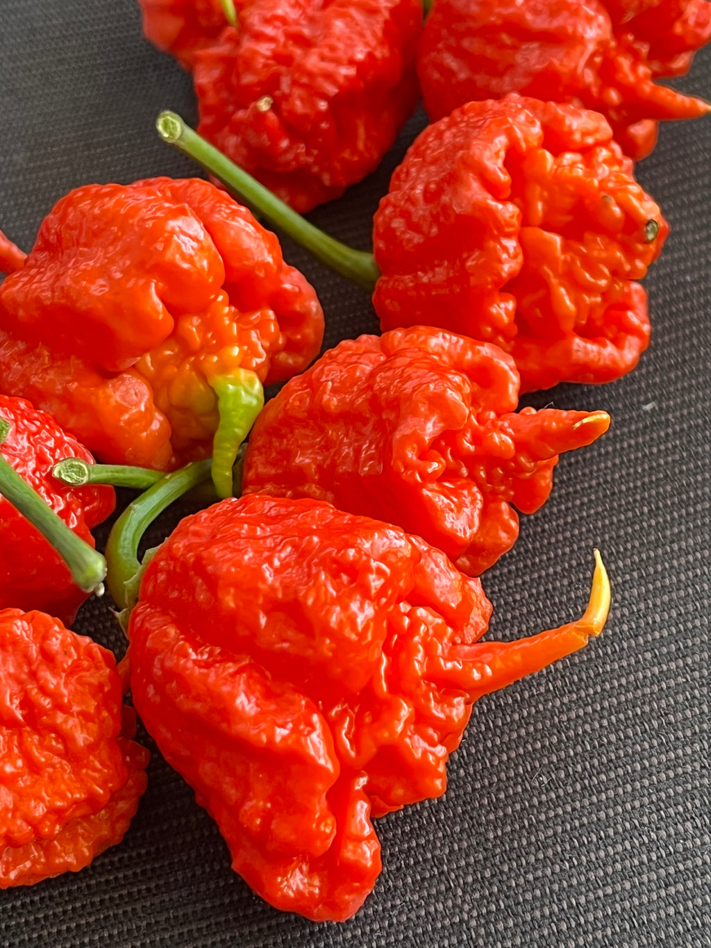 Carolina reaper red seeds