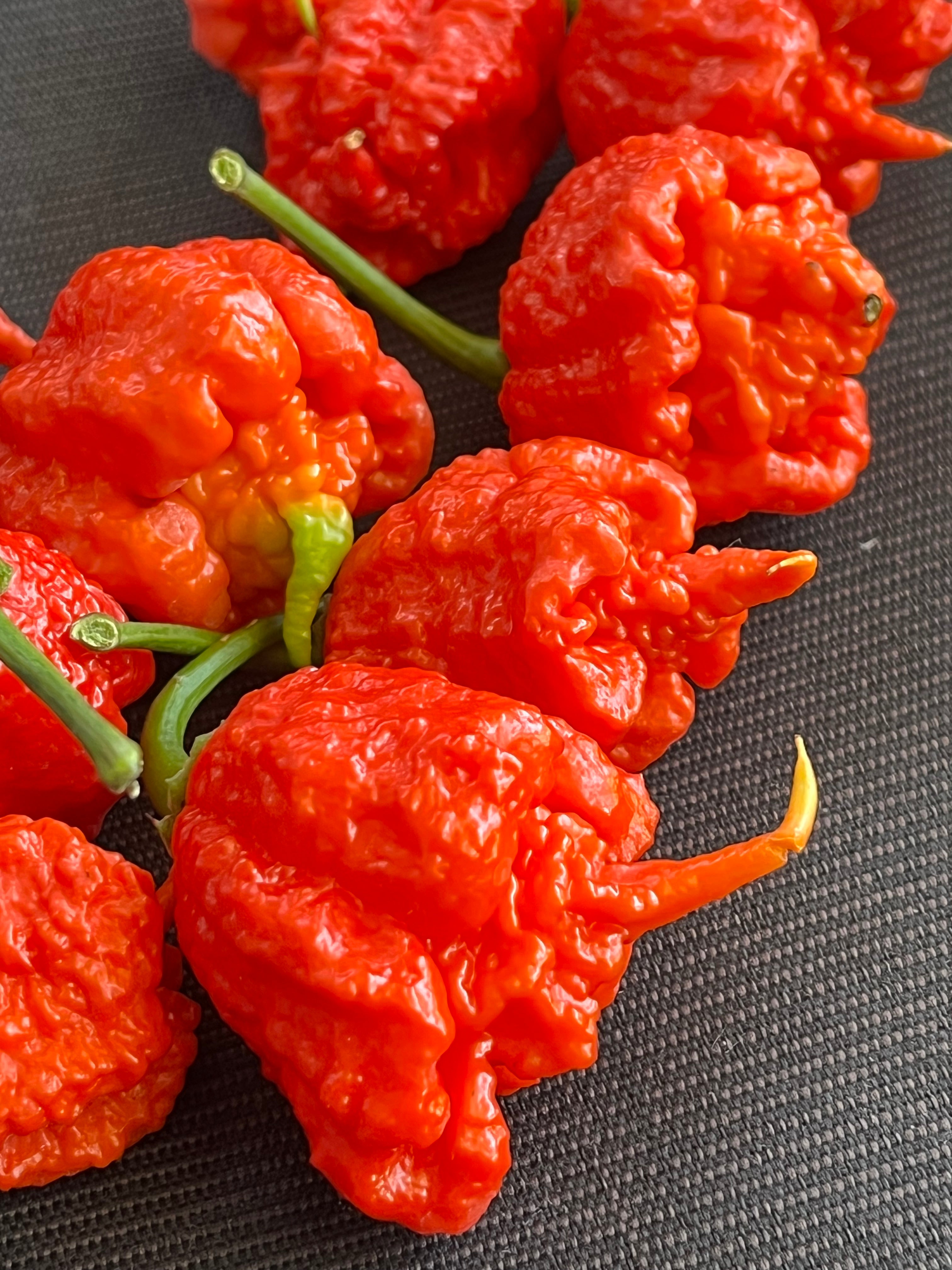 Carolina reaper red seeds