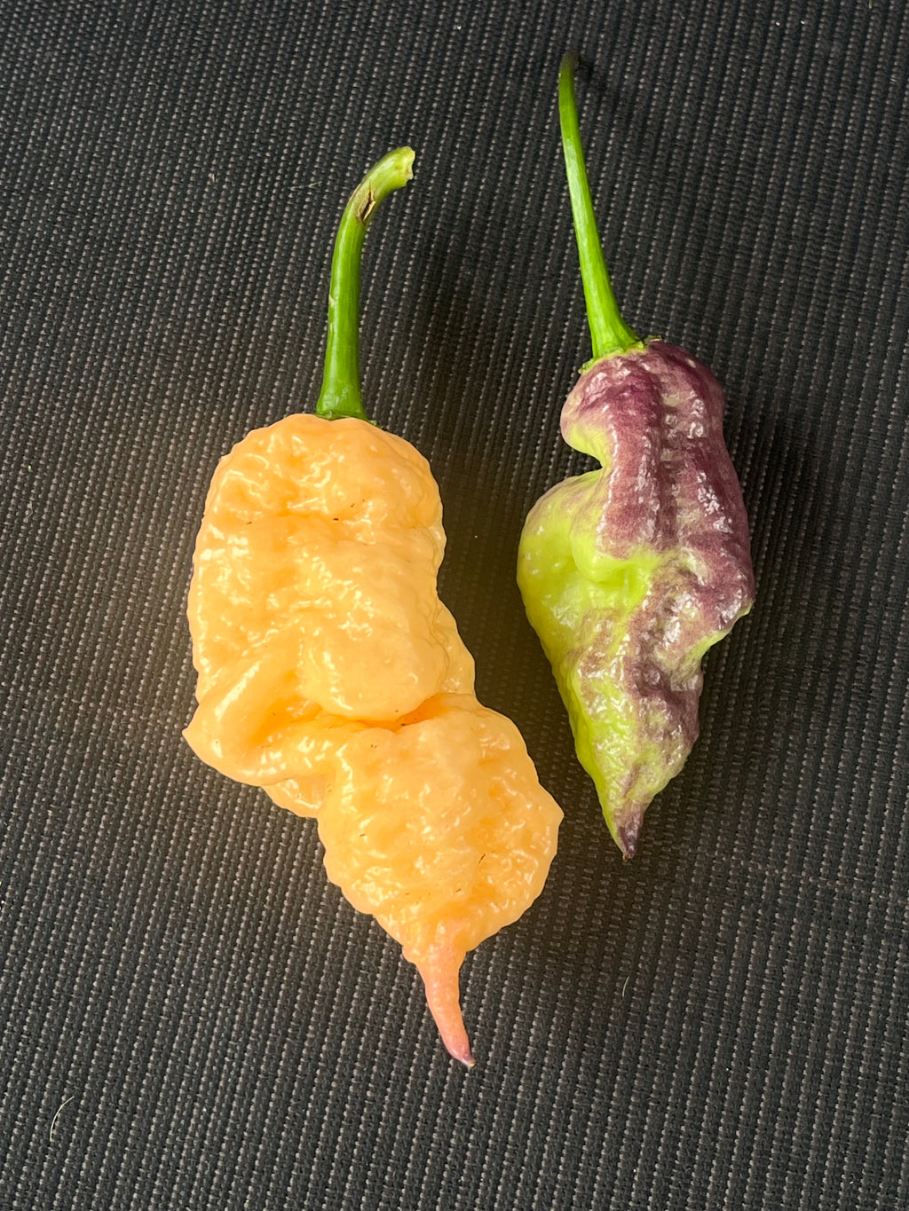 Peach Prodigy seeds