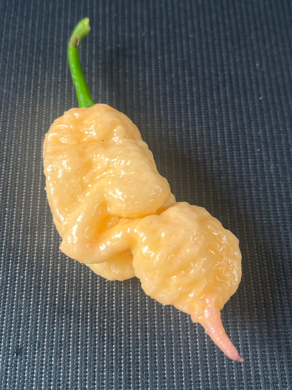 Peach Prodigy seeds