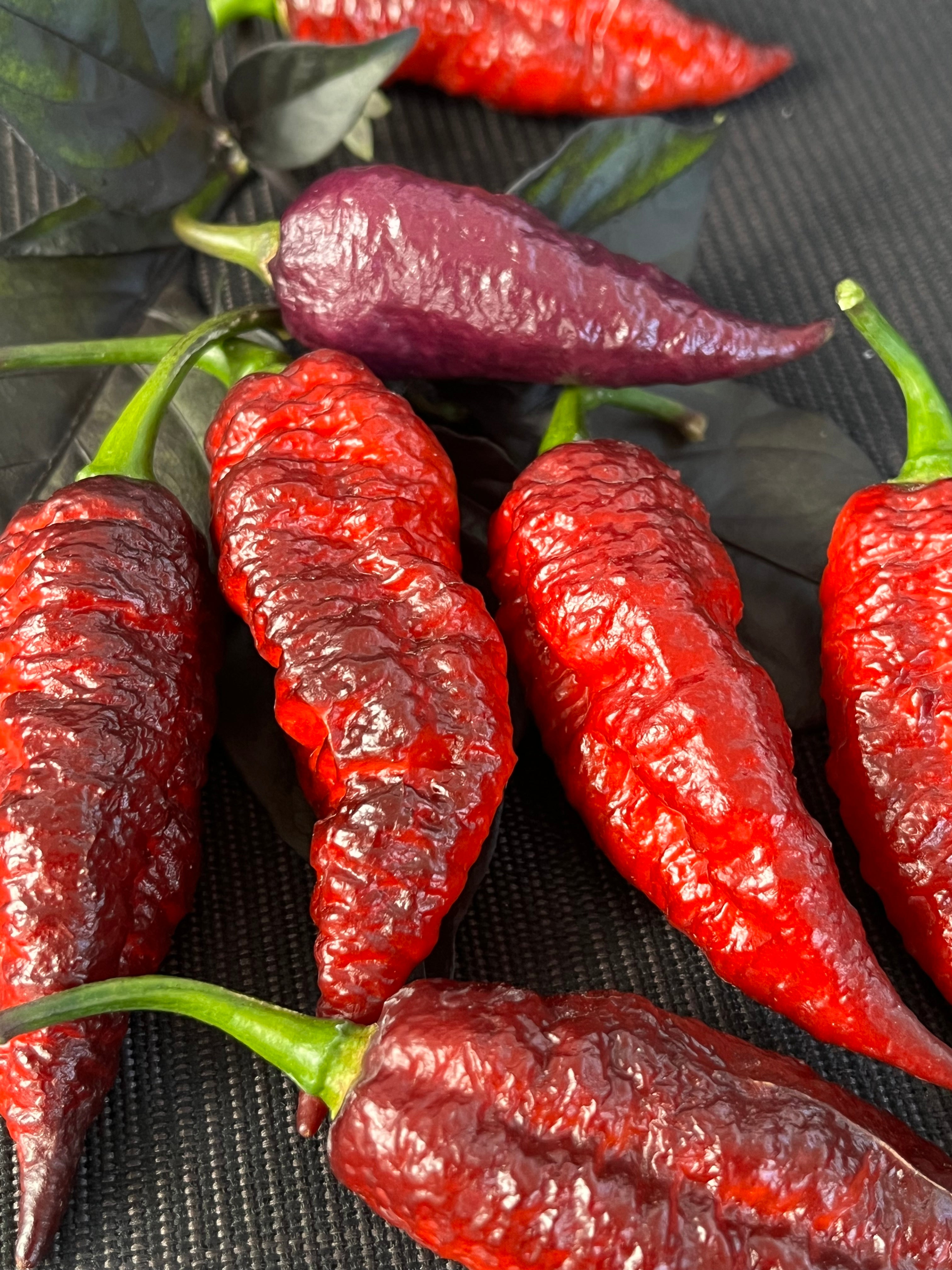 Fox dark ghost Gnarly ruby seeds