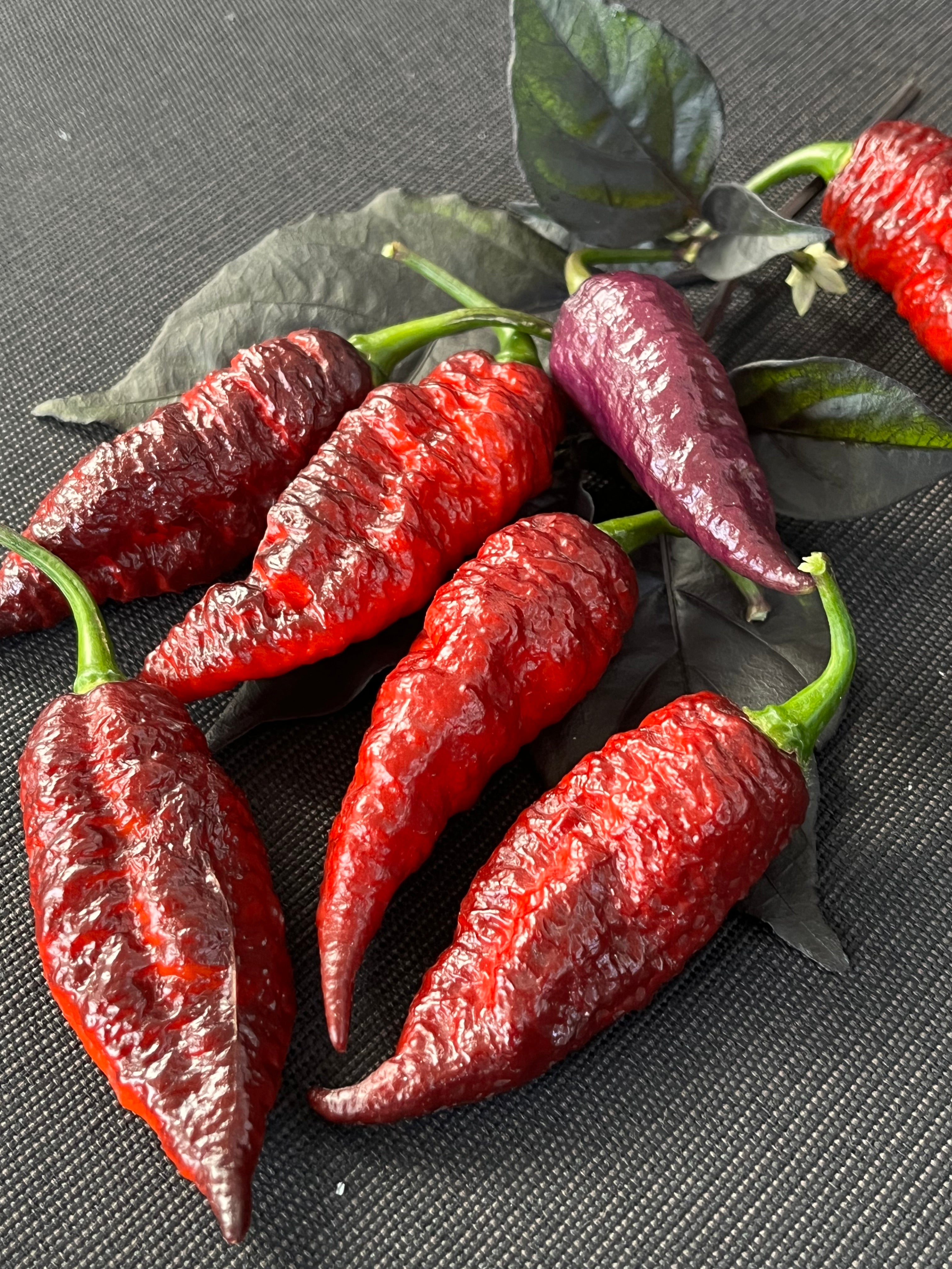 Fox dark ghost Gnarly ruby seeds