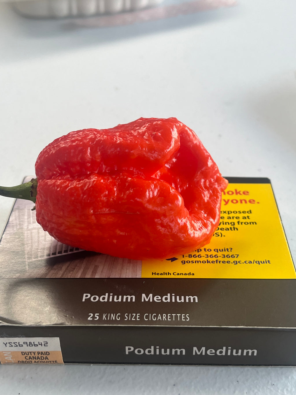 Why not red seeds
