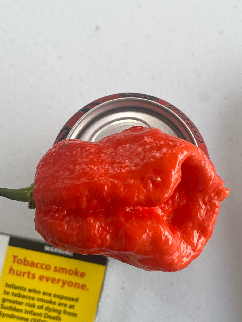 Why not red seeds