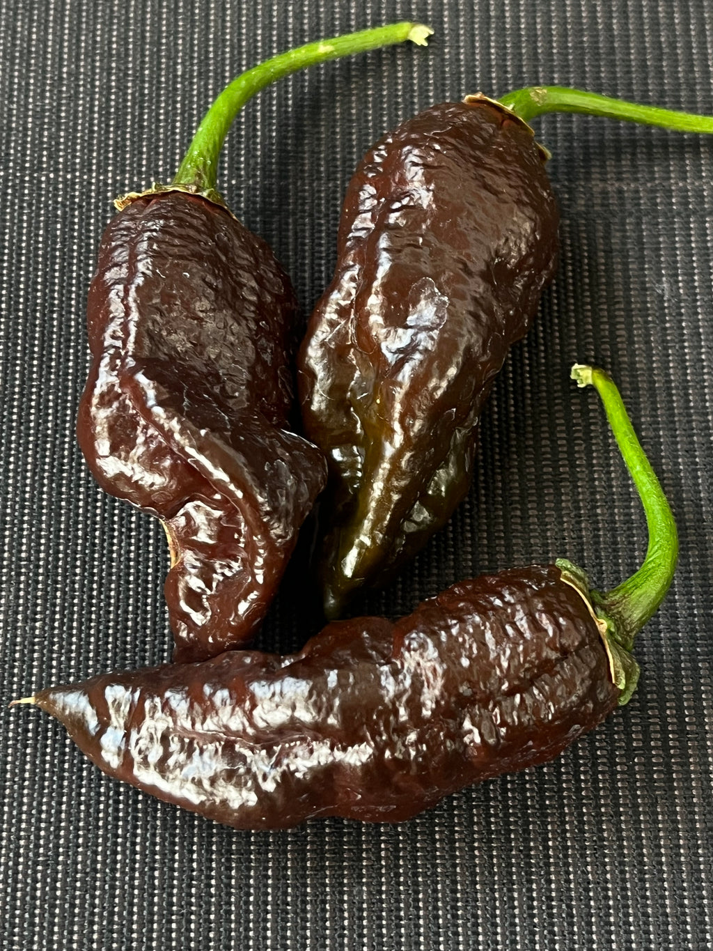 Frankenstein BBG7 seeds
