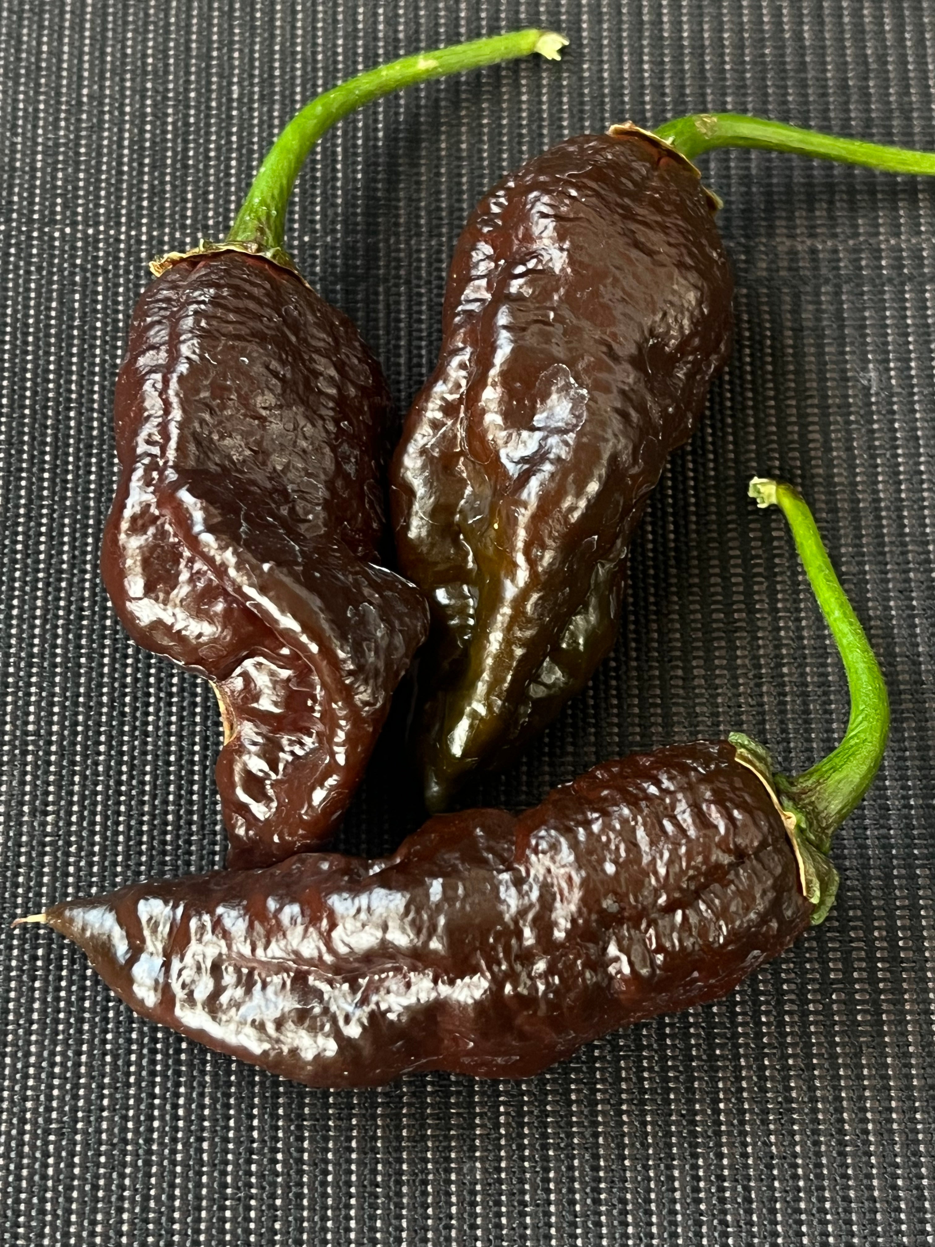 Frankenstein BBG7 seeds