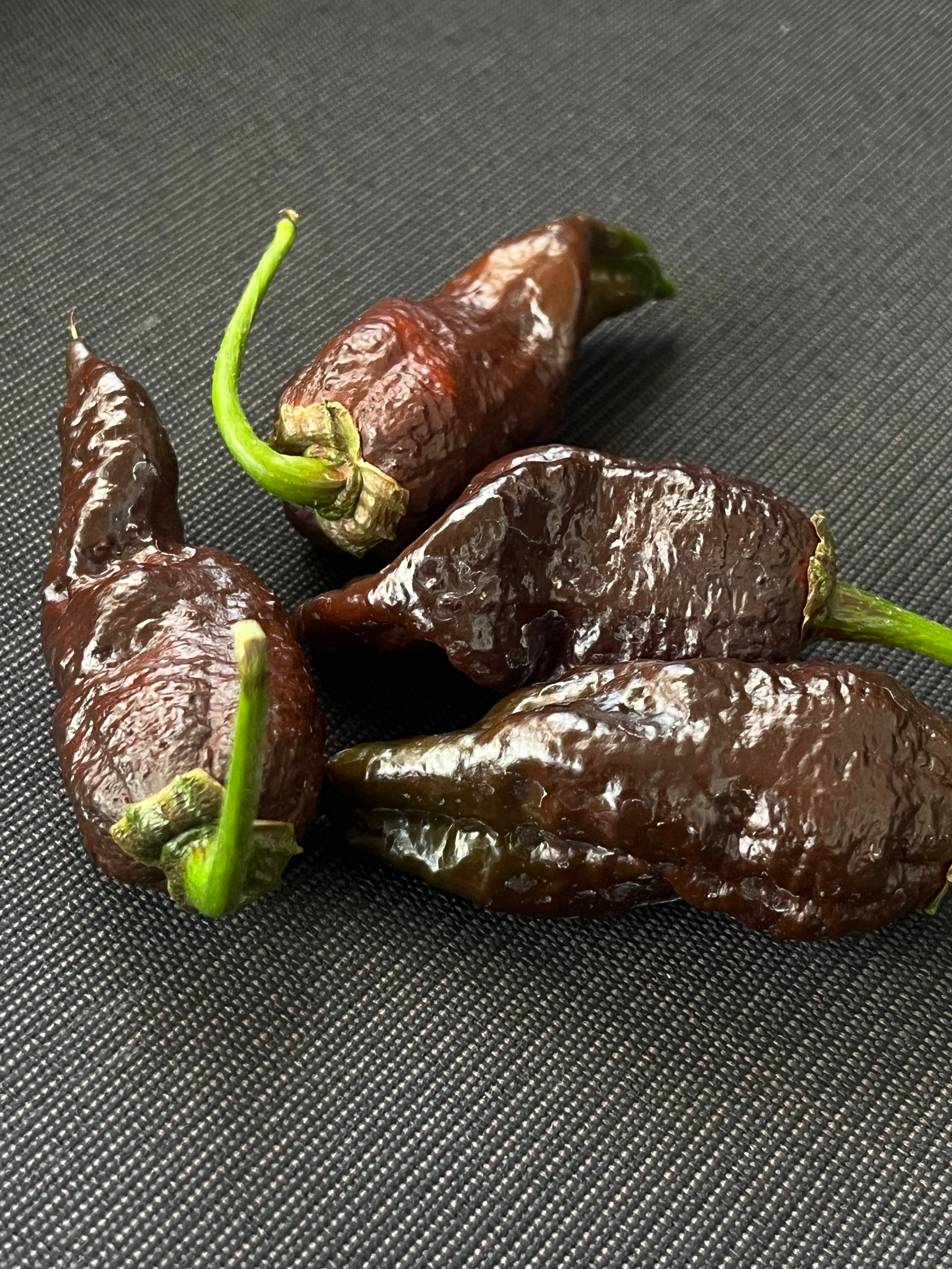 Frankenstein BBG7 seeds