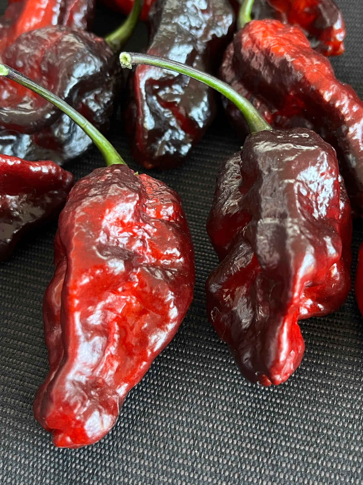 Leopard reaper seeds