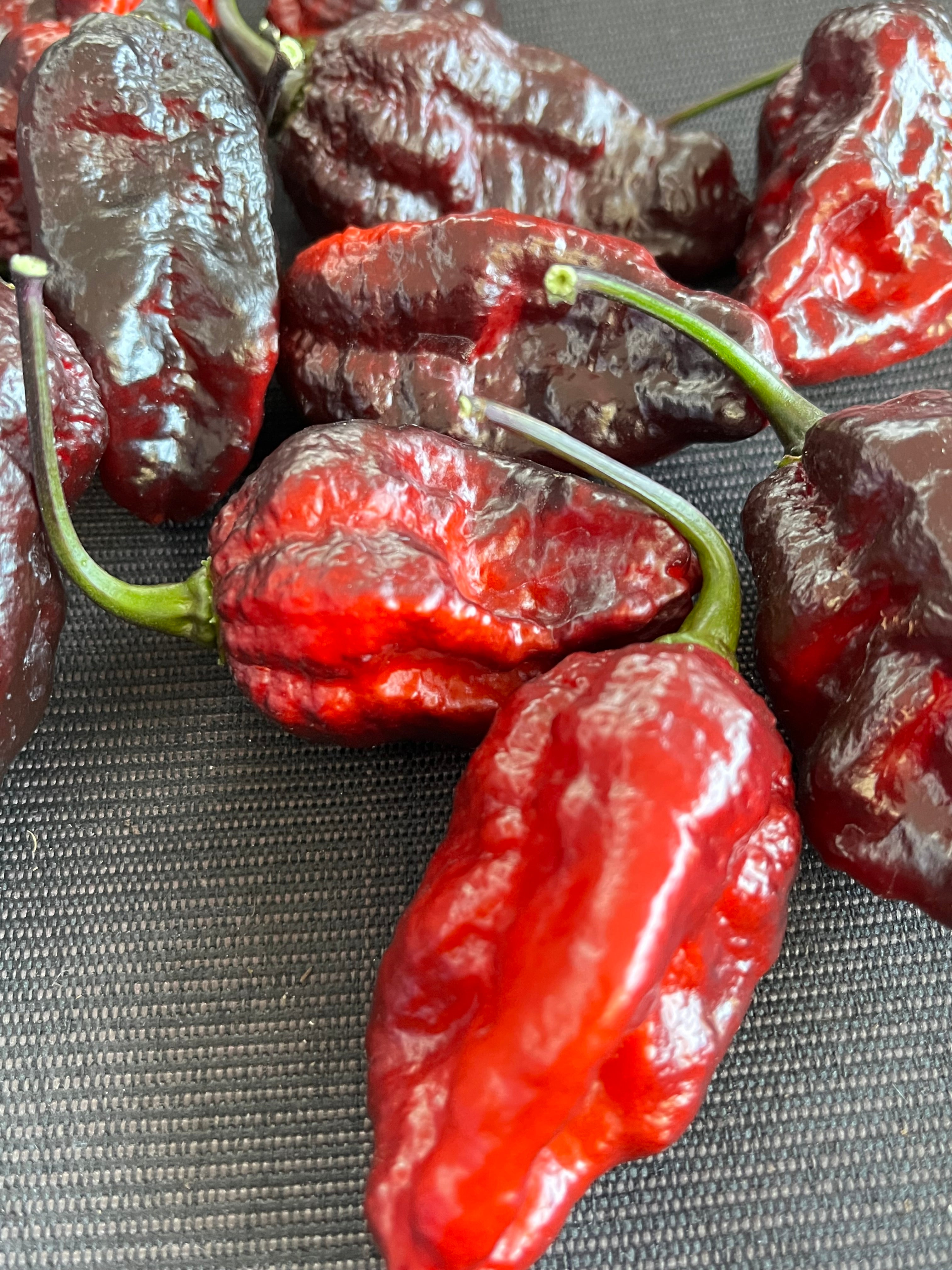 Leopard reaper seeds