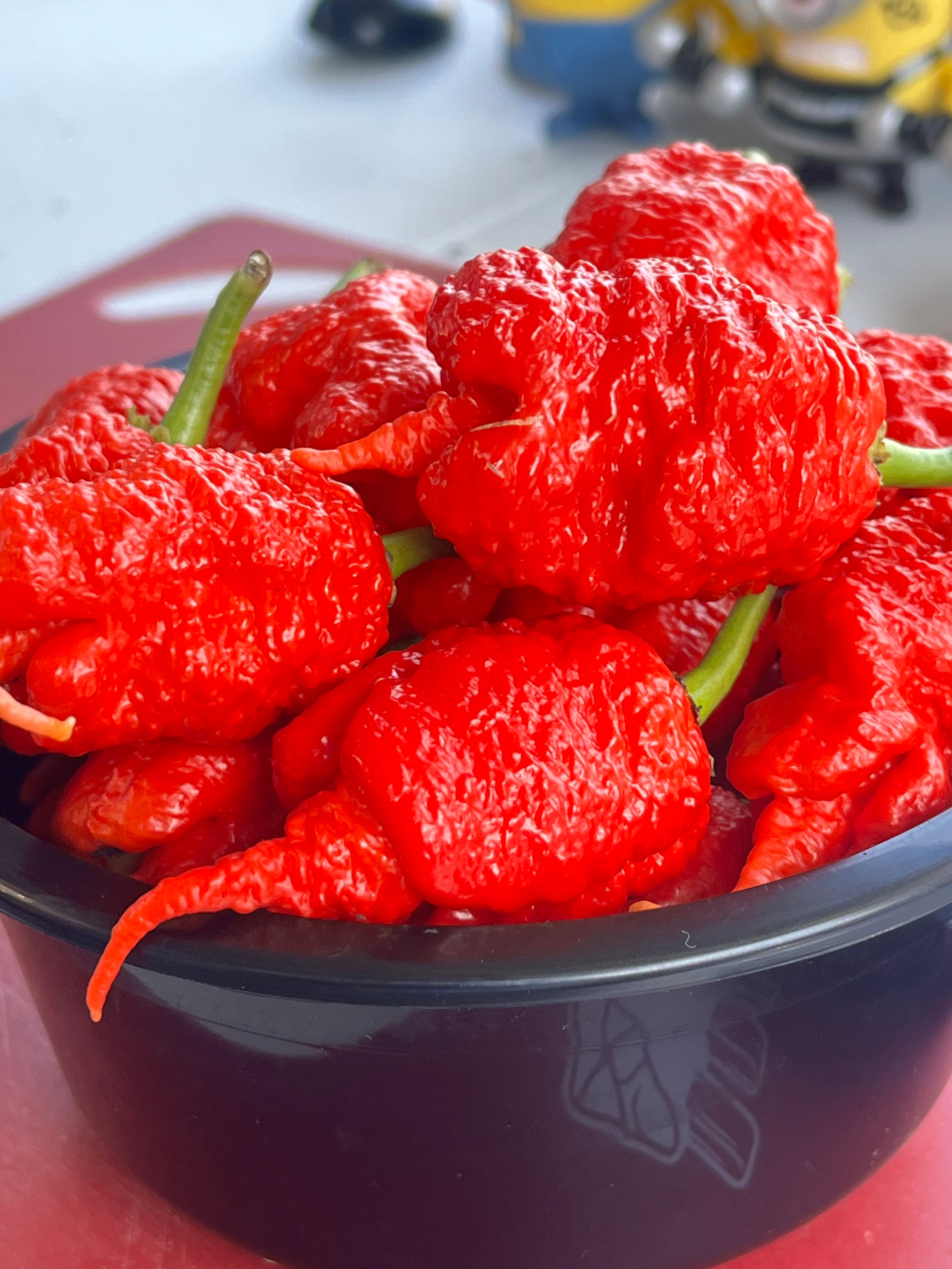 Kevin‘s red fried chicken (F3) seeds
