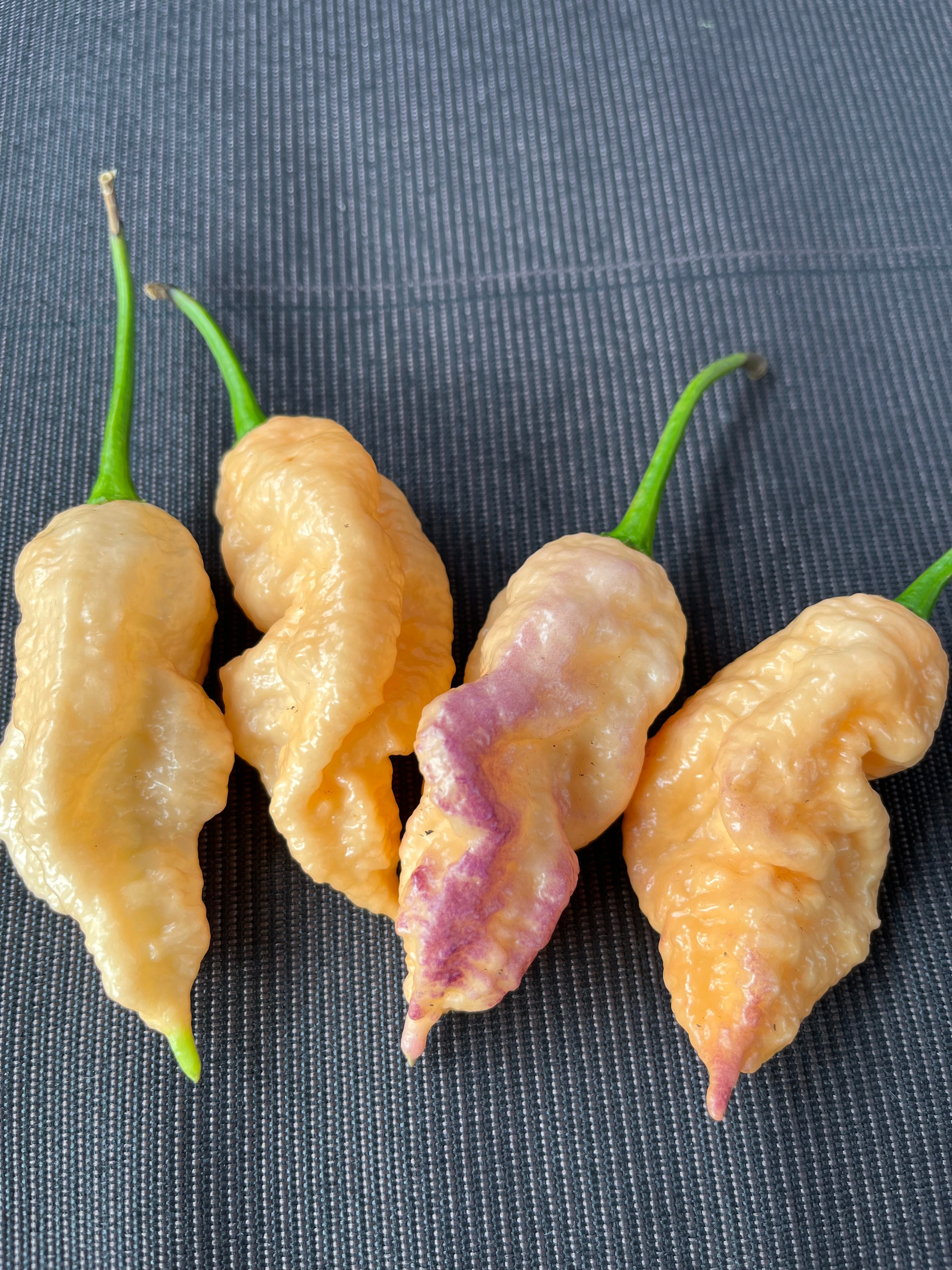 Peach Prodigy seeds