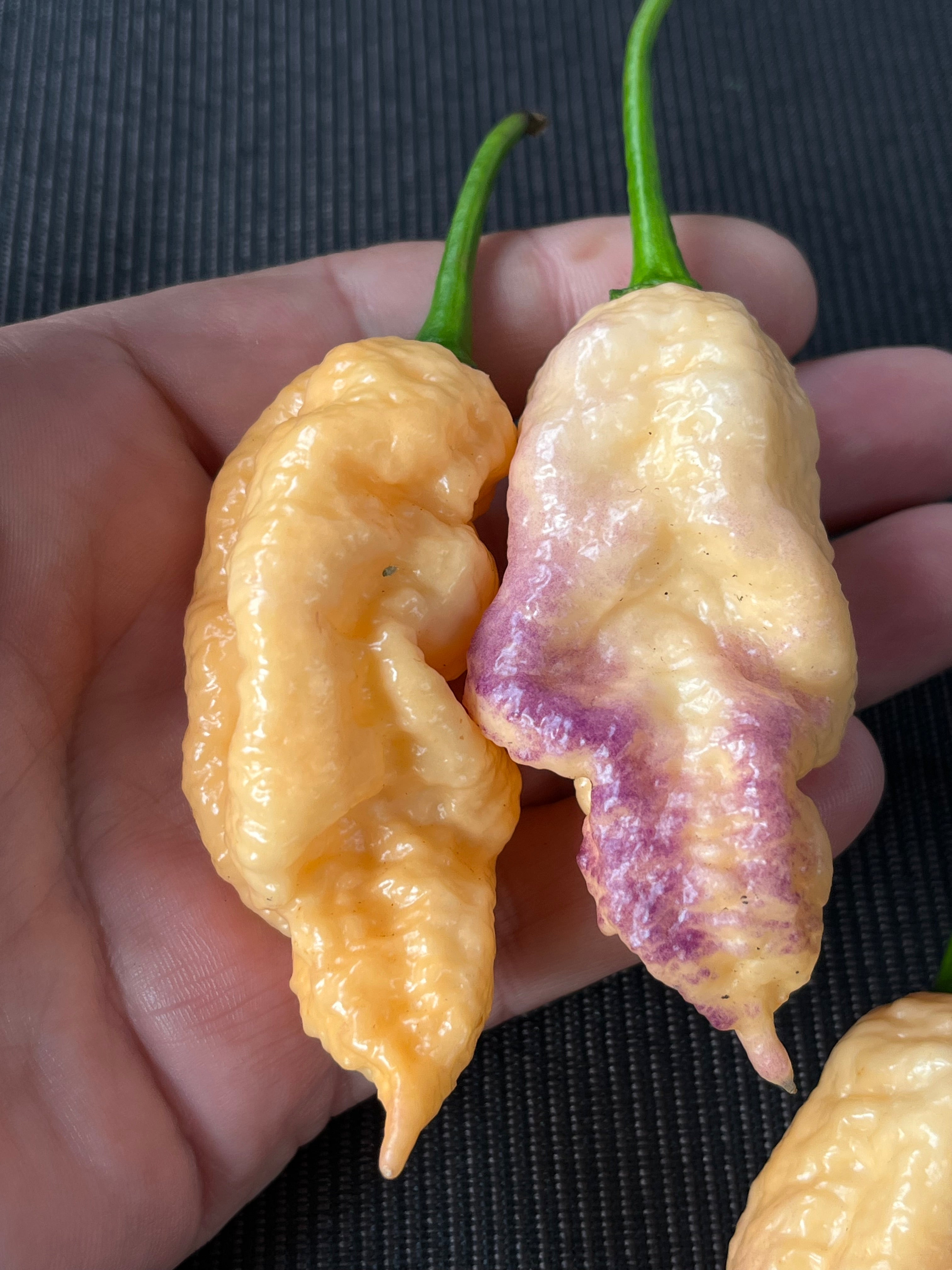 Peach Prodigy seeds