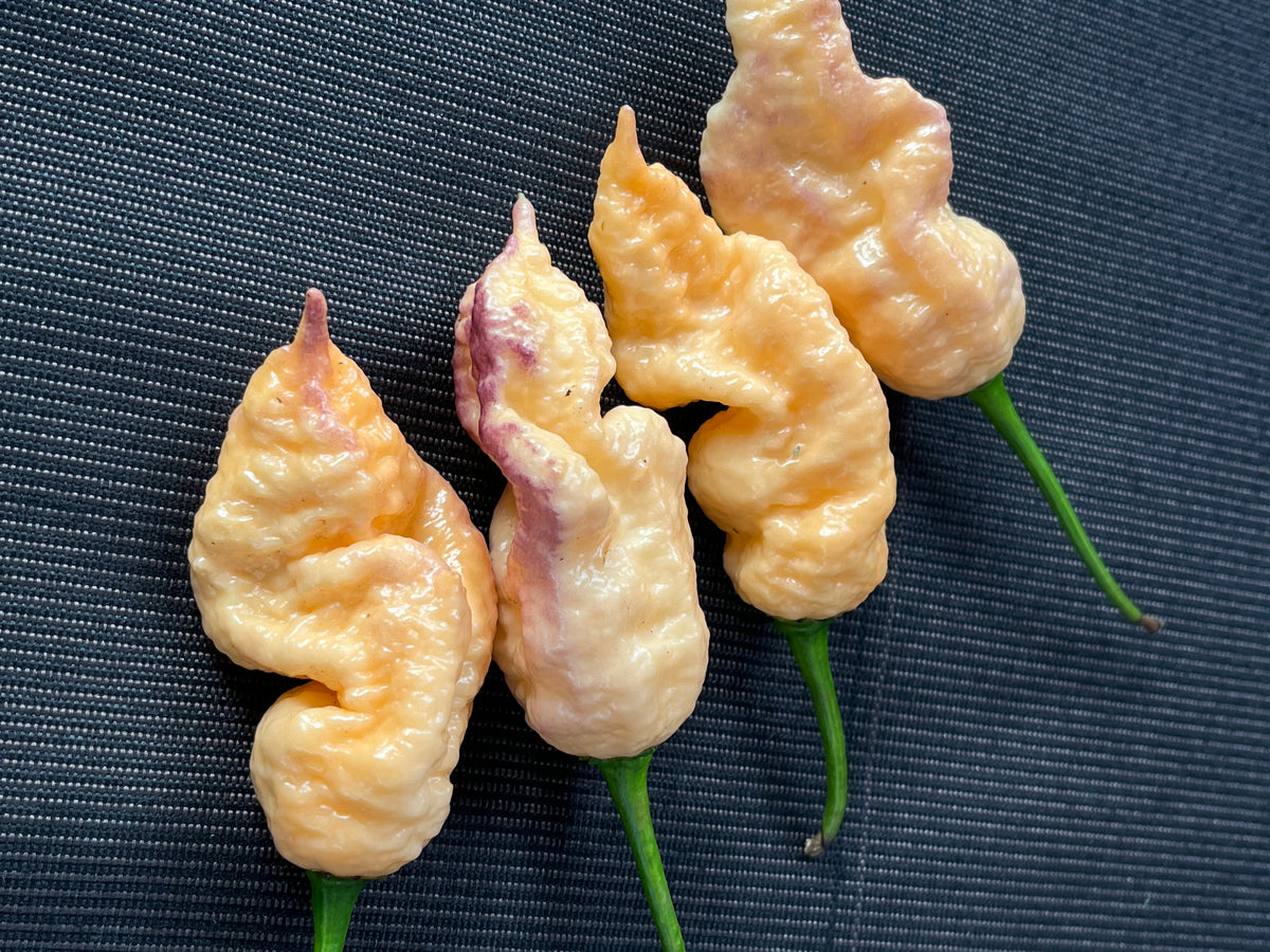 Peach Prodigy seeds