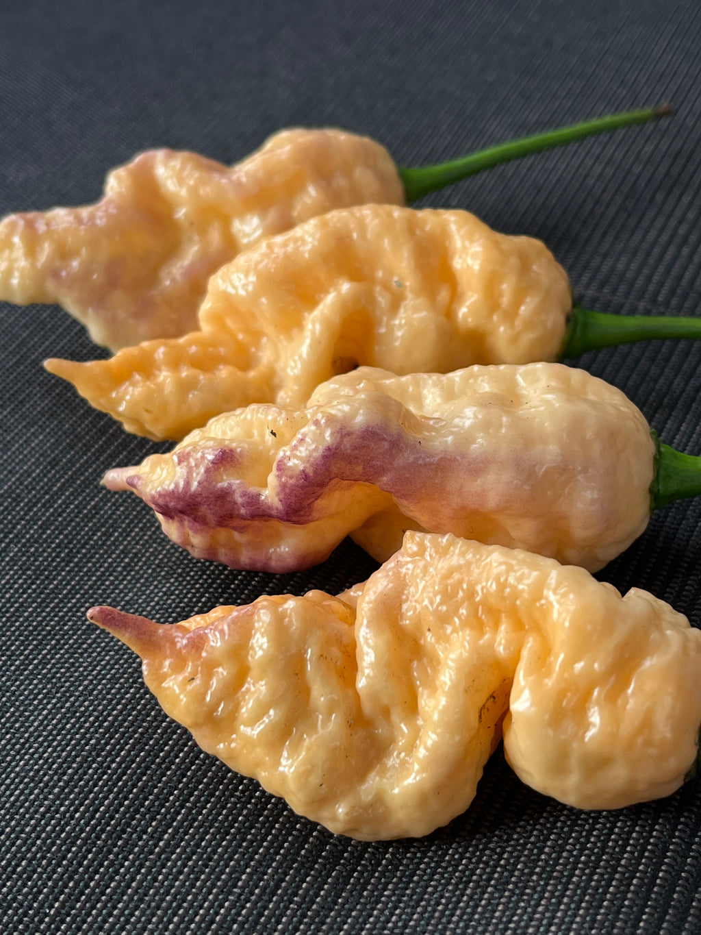 Peach Prodigy seeds