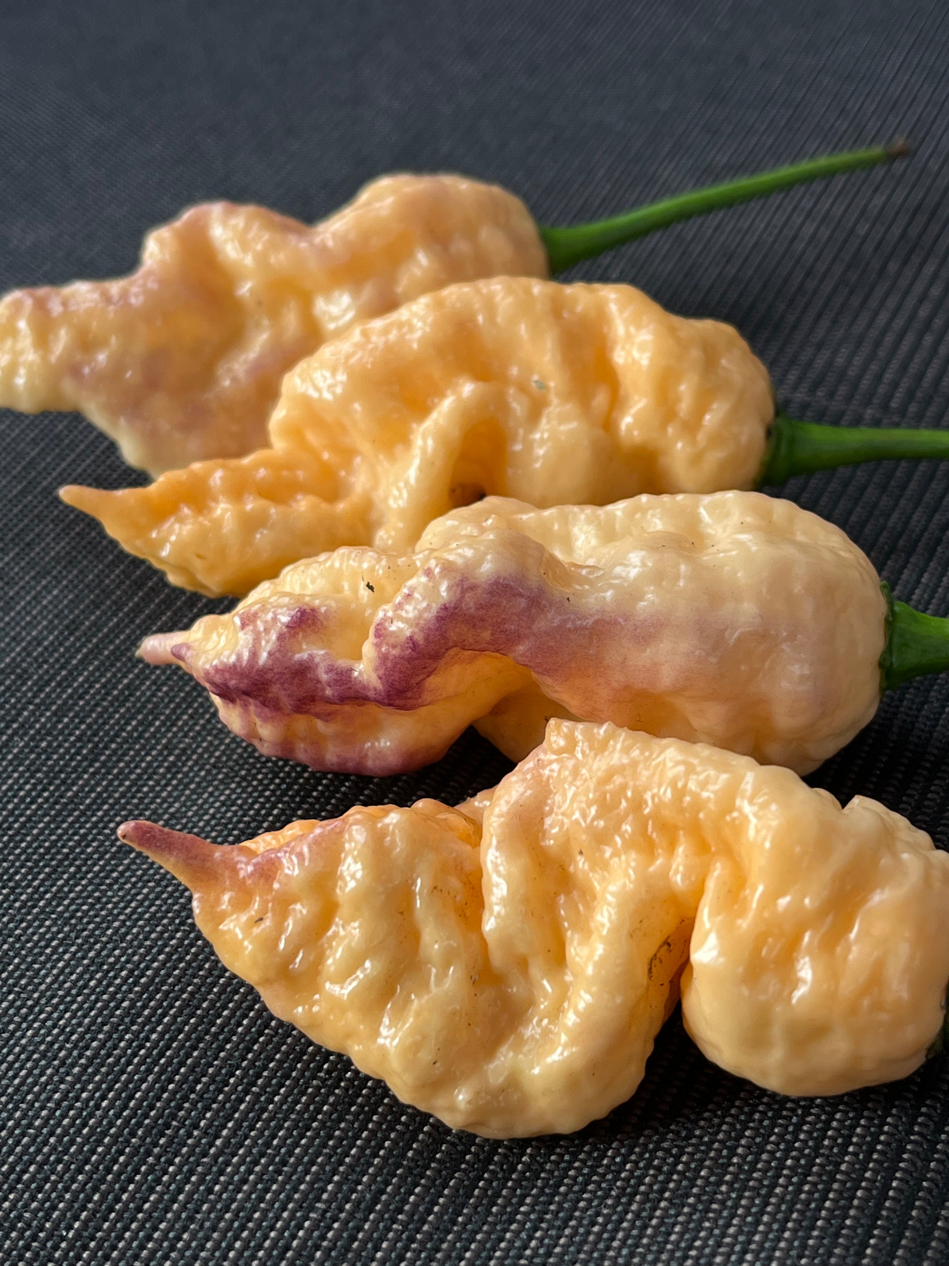 Peach Prodigy seeds