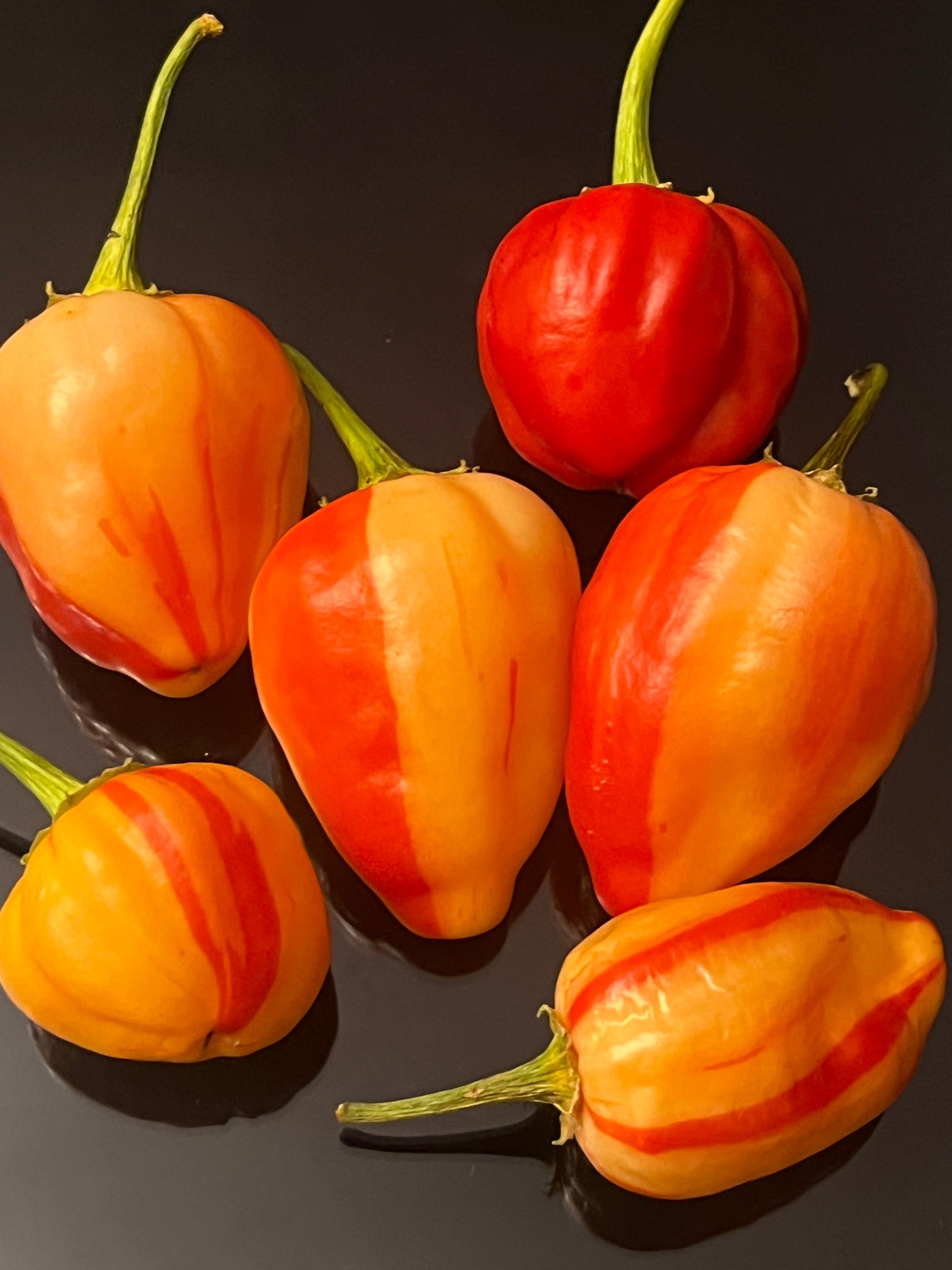 Papa peach seeds