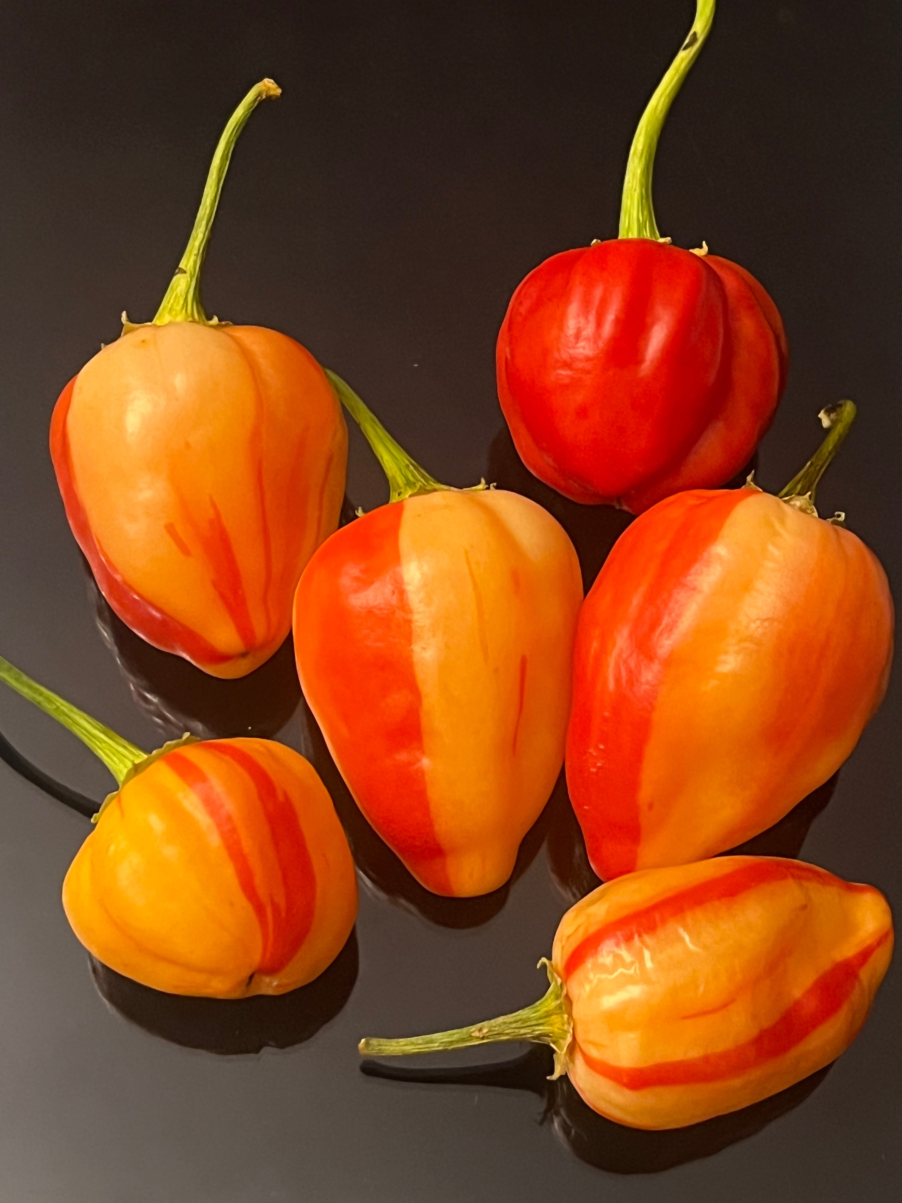 Papa peach seeds