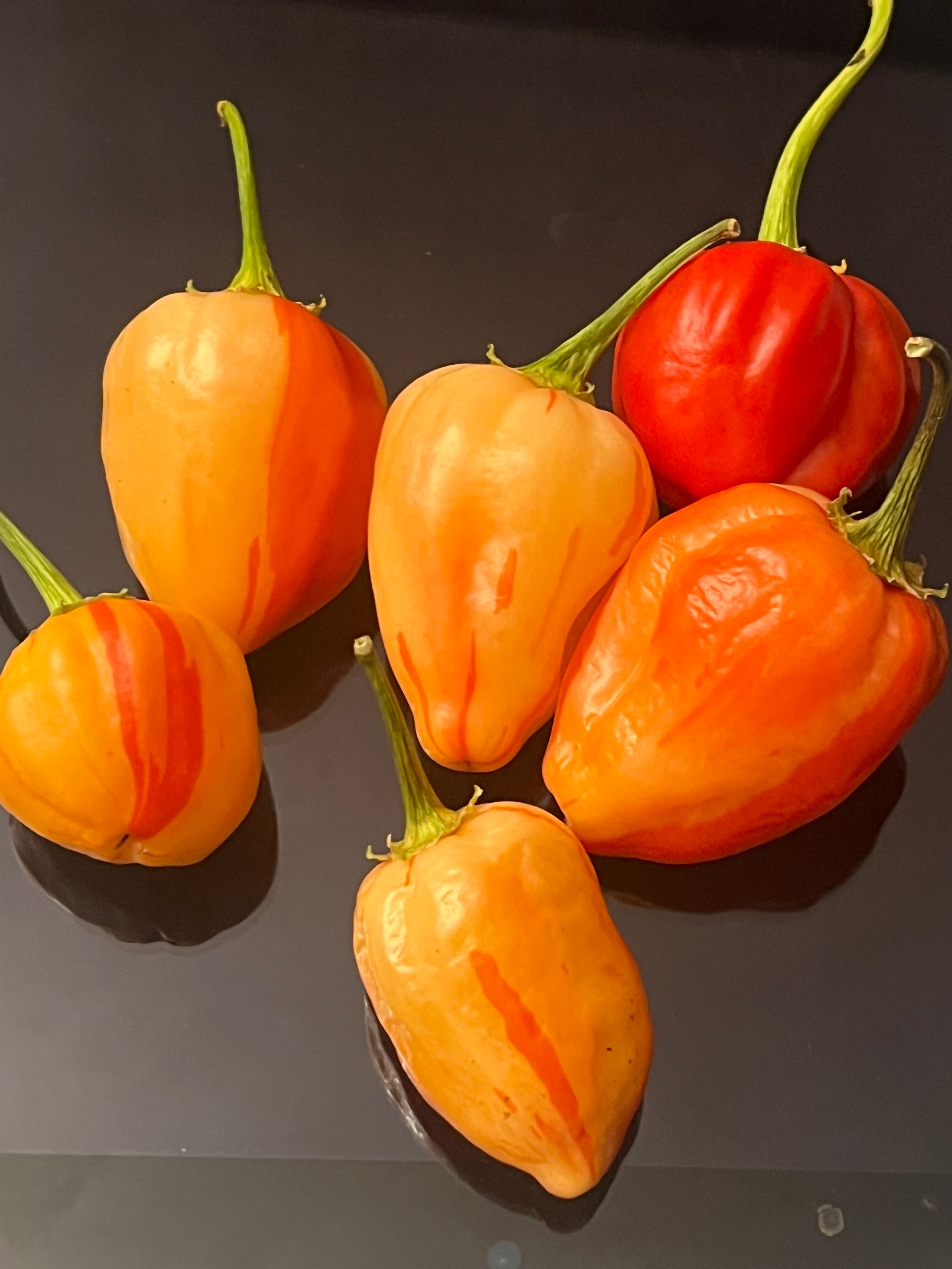 Papa peach seeds