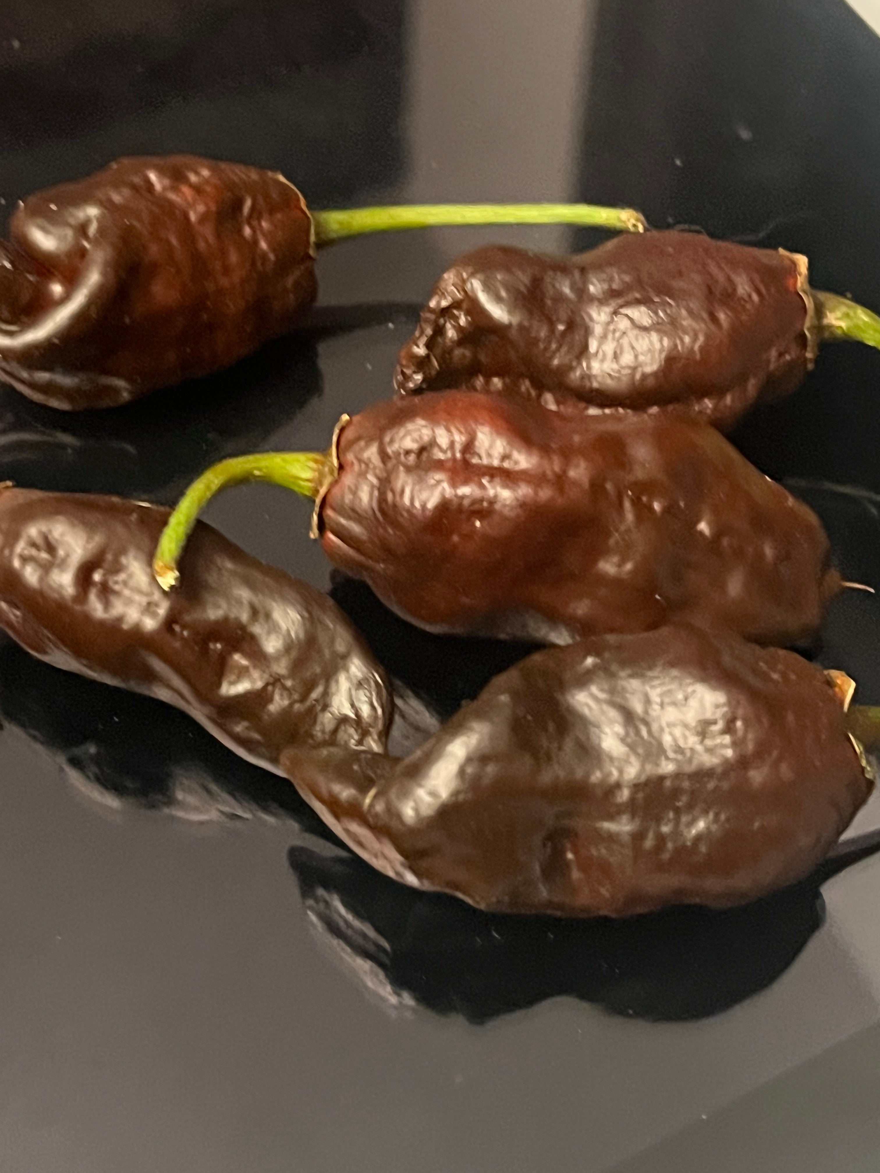 Frankenstein BBG7 seeds