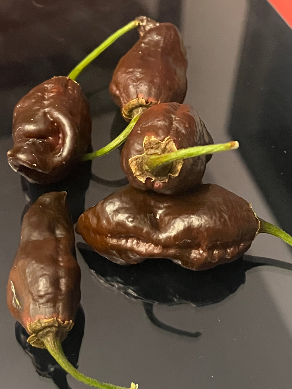 Frankenstein BBG7 seeds