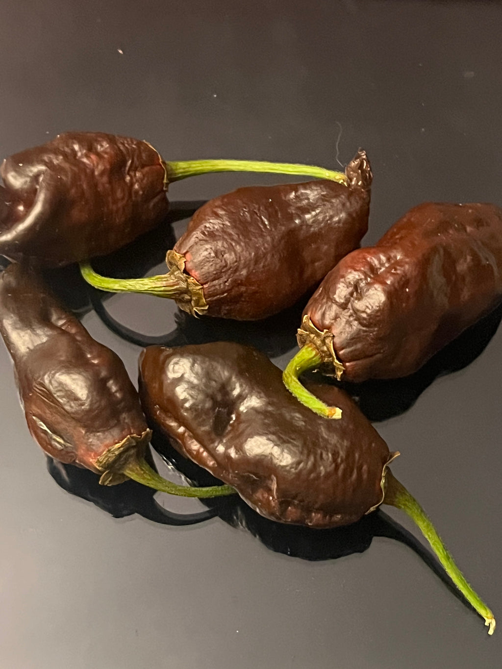 Frankenstein BBG7 seeds