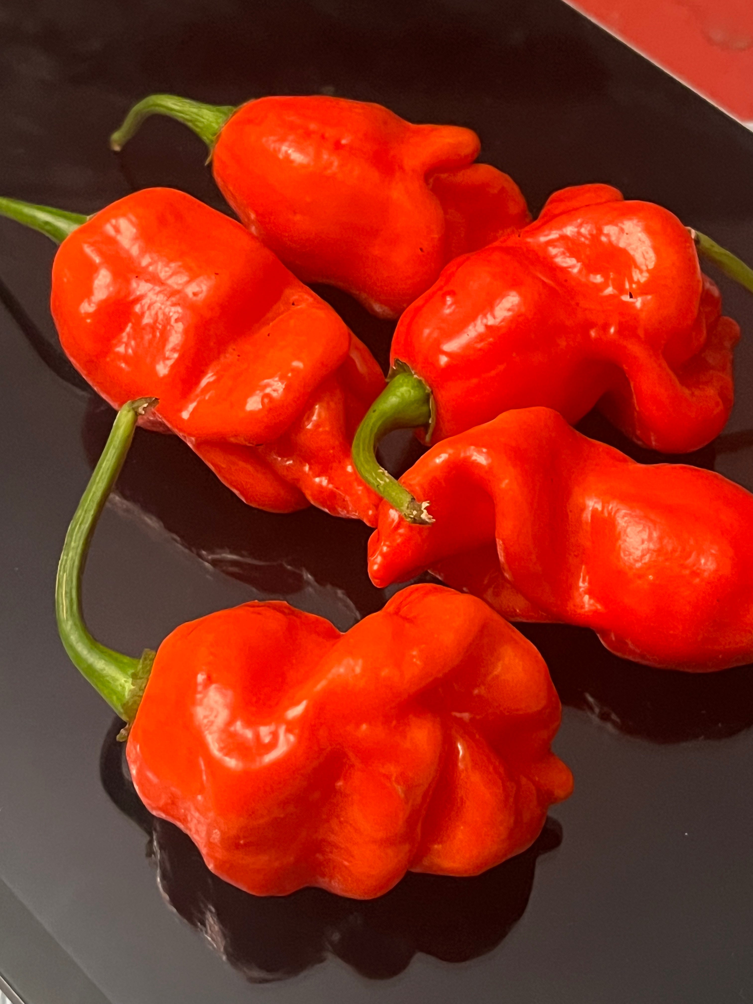 Red Armageddon seeds