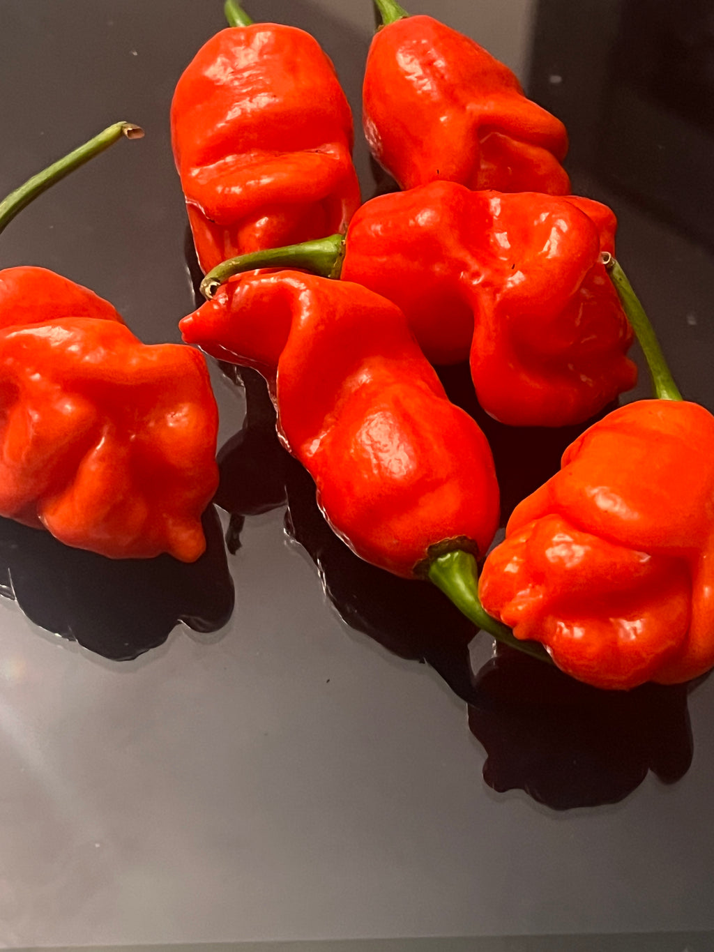 Red Armageddon seeds