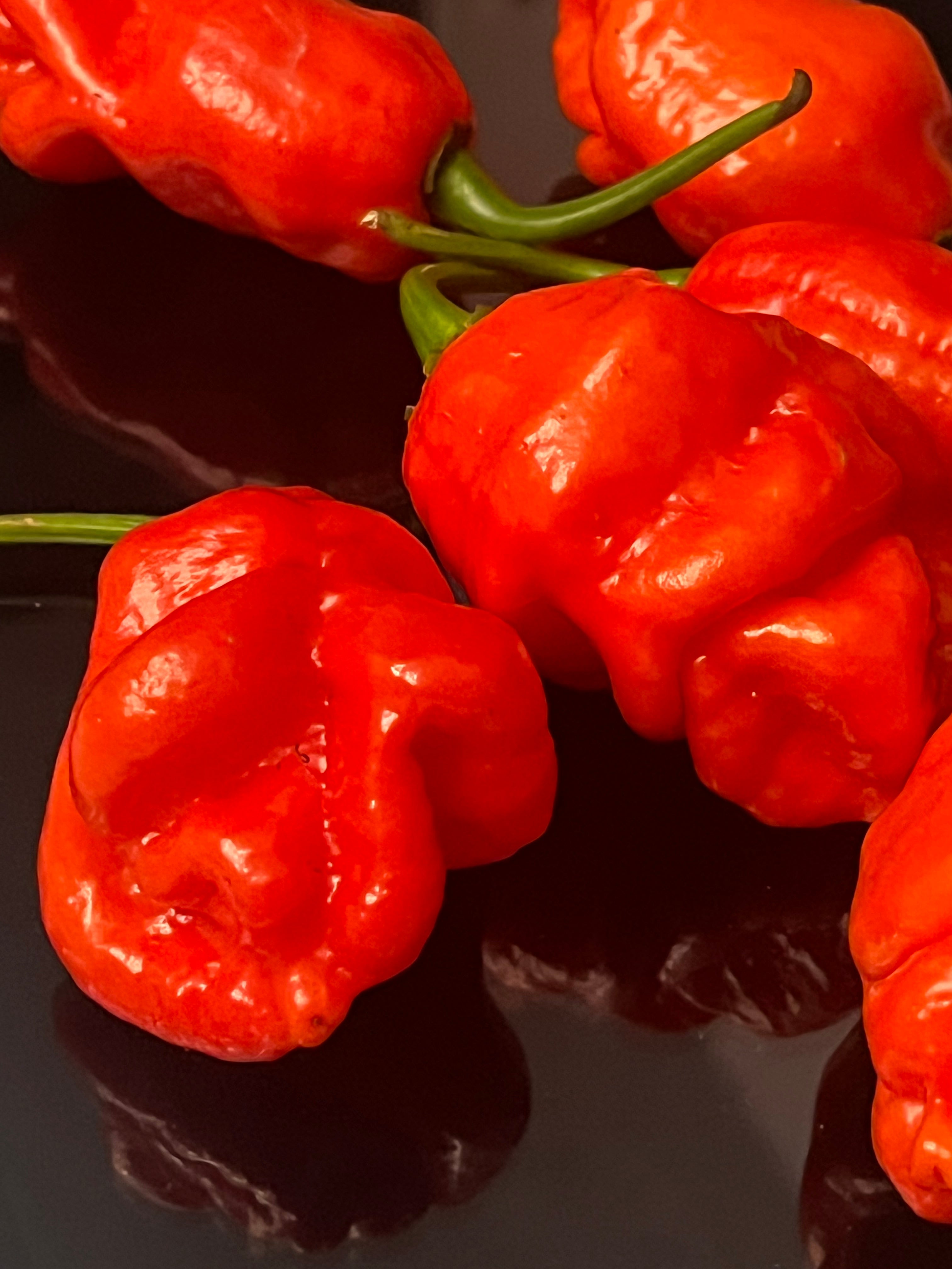 Red Armageddon seeds