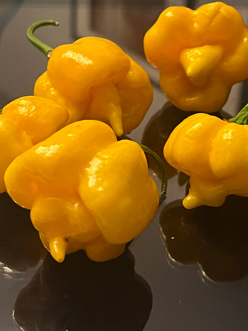 Yellow Armageddon seeds