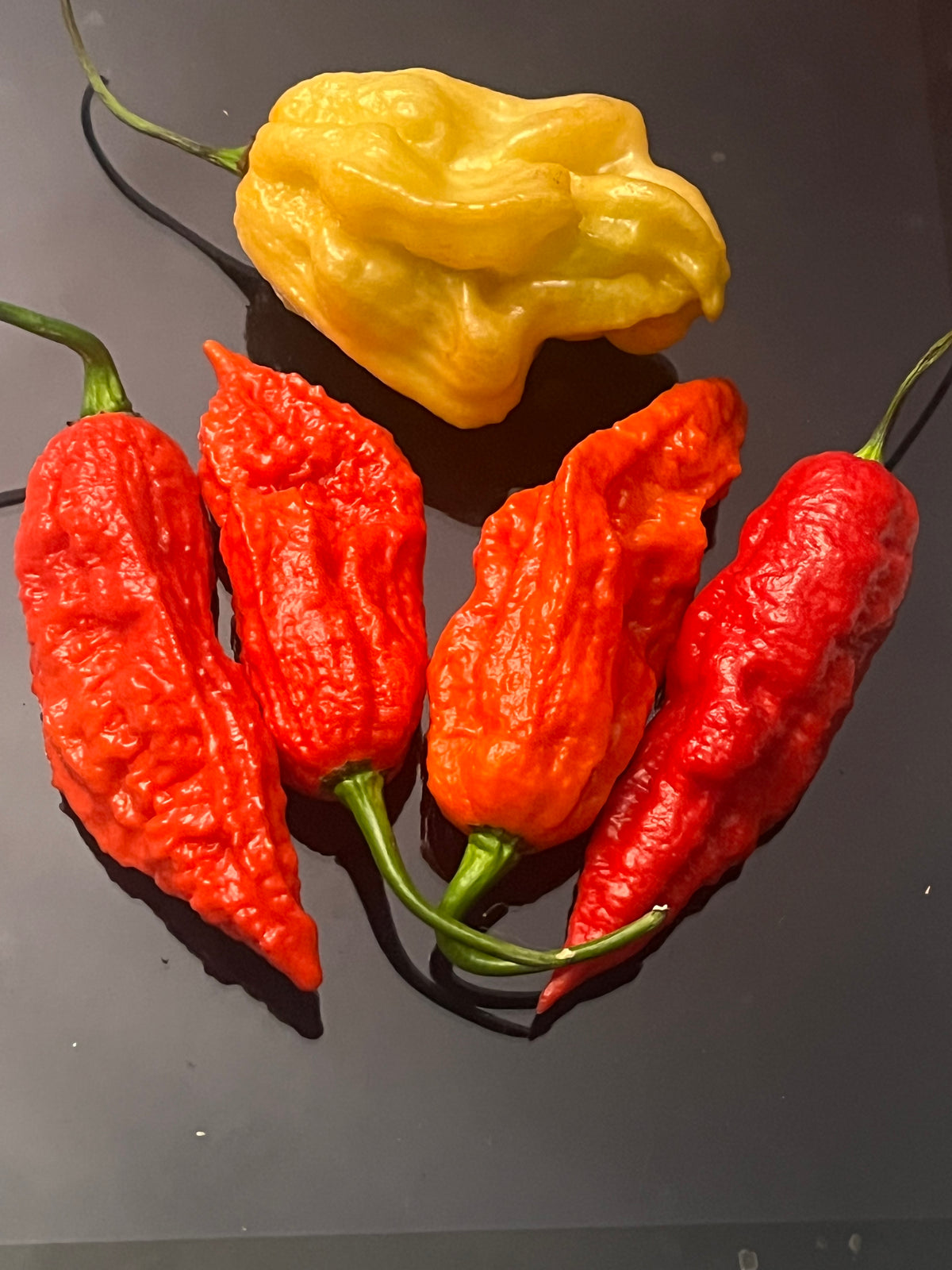 Super Bhut jolokia red seeds