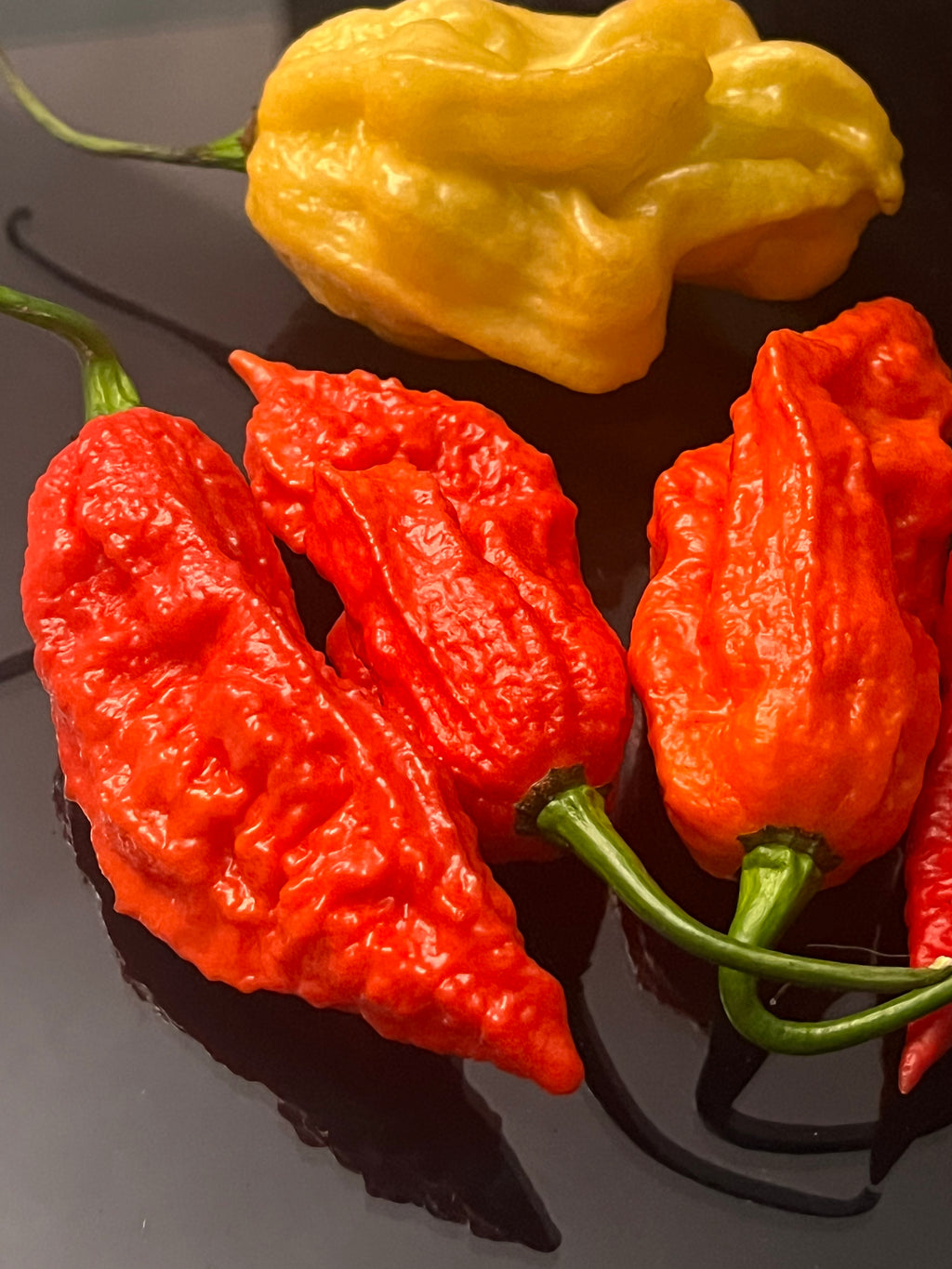Super Bhut jolokia red seeds
