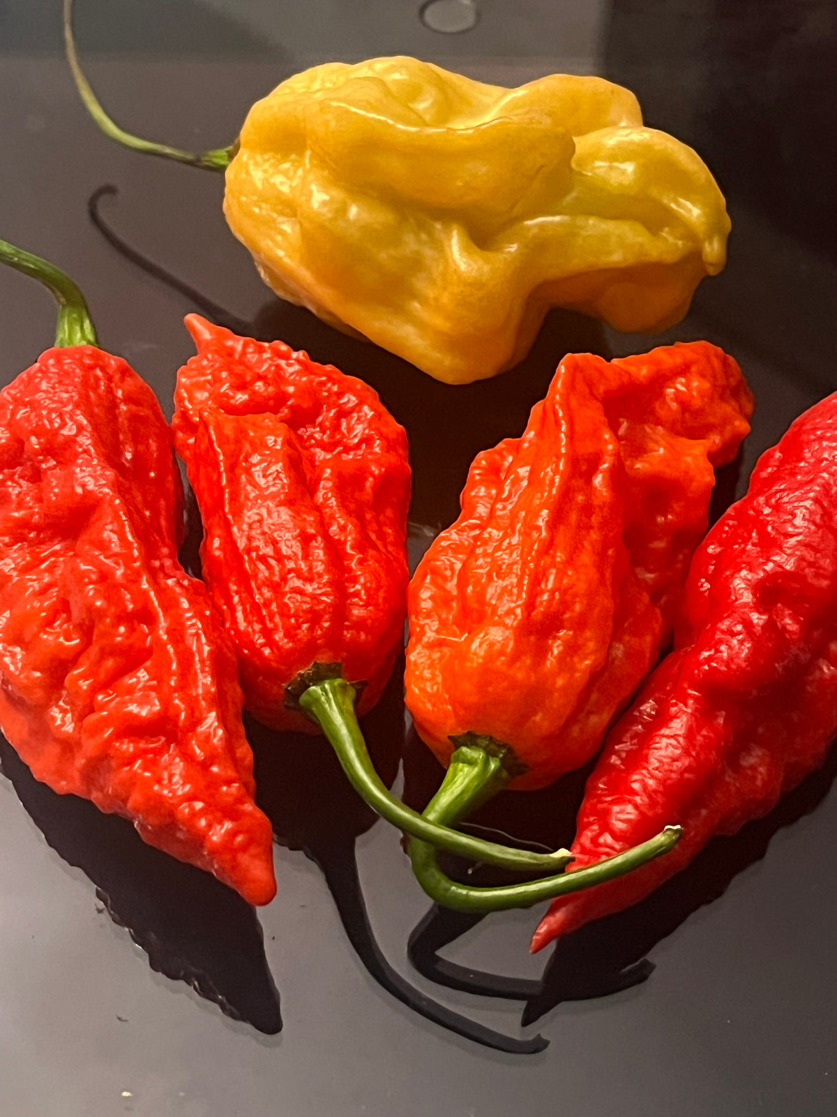 Super Bhut jolokia red seeds