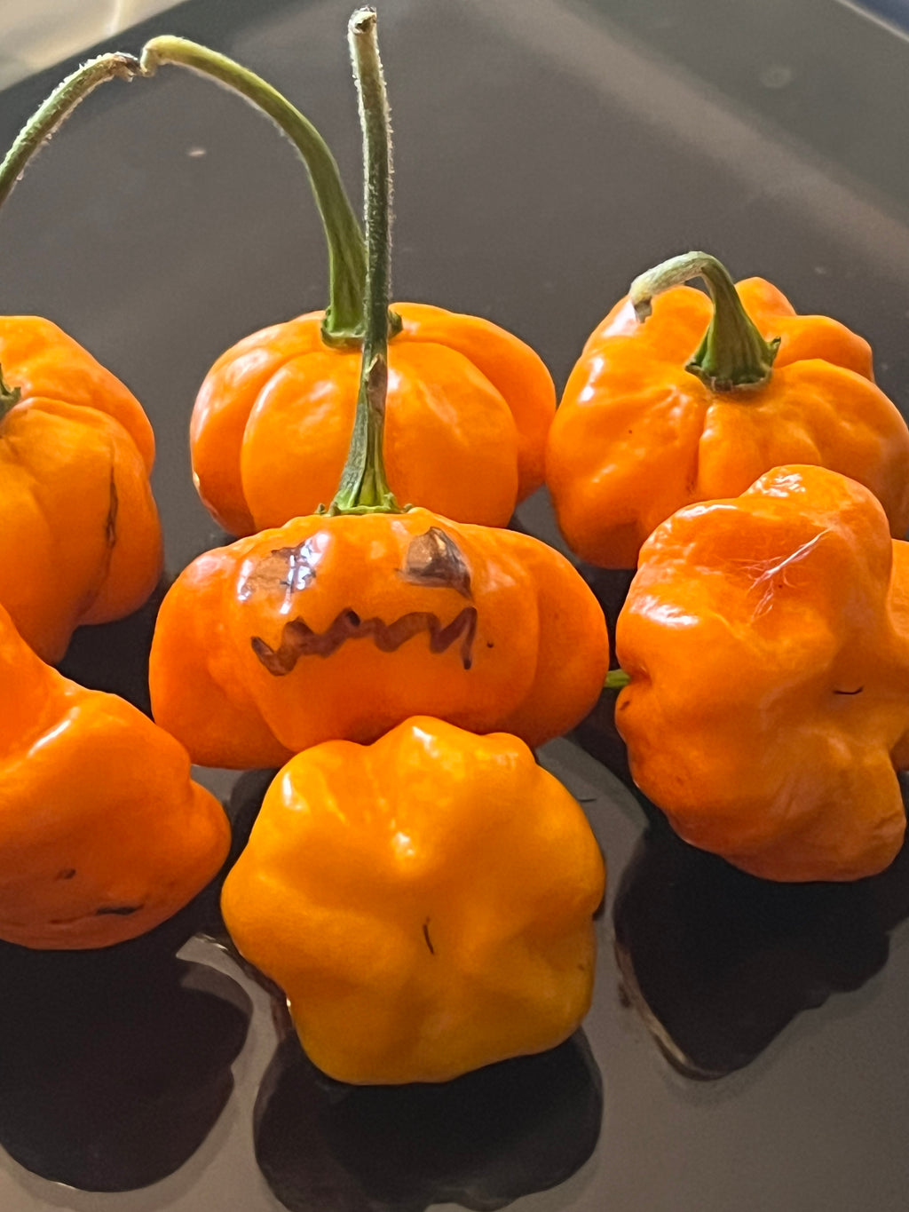 KS Sriracha orange pumpkins seeds