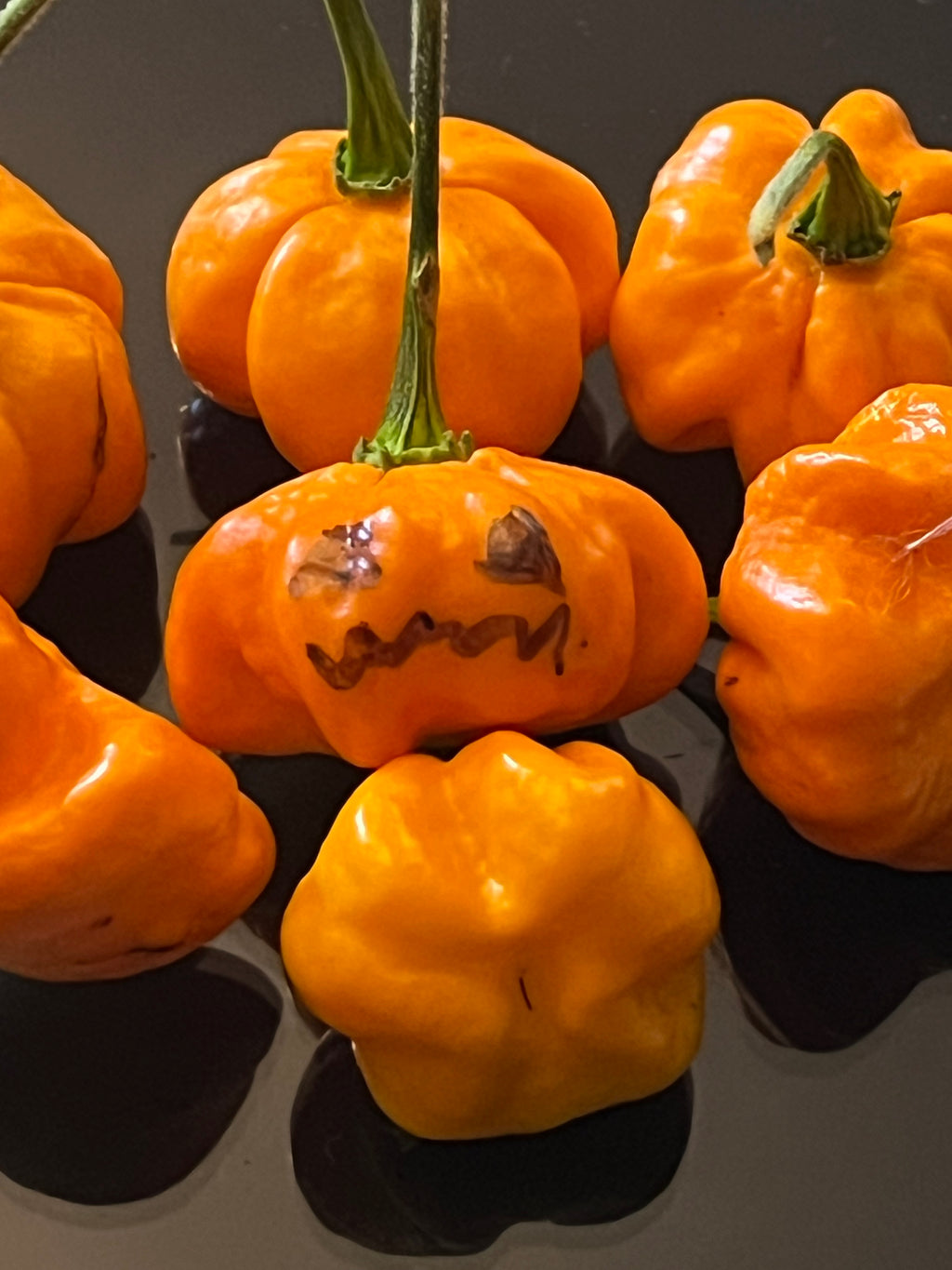 KS Sriracha orange pumpkins seeds