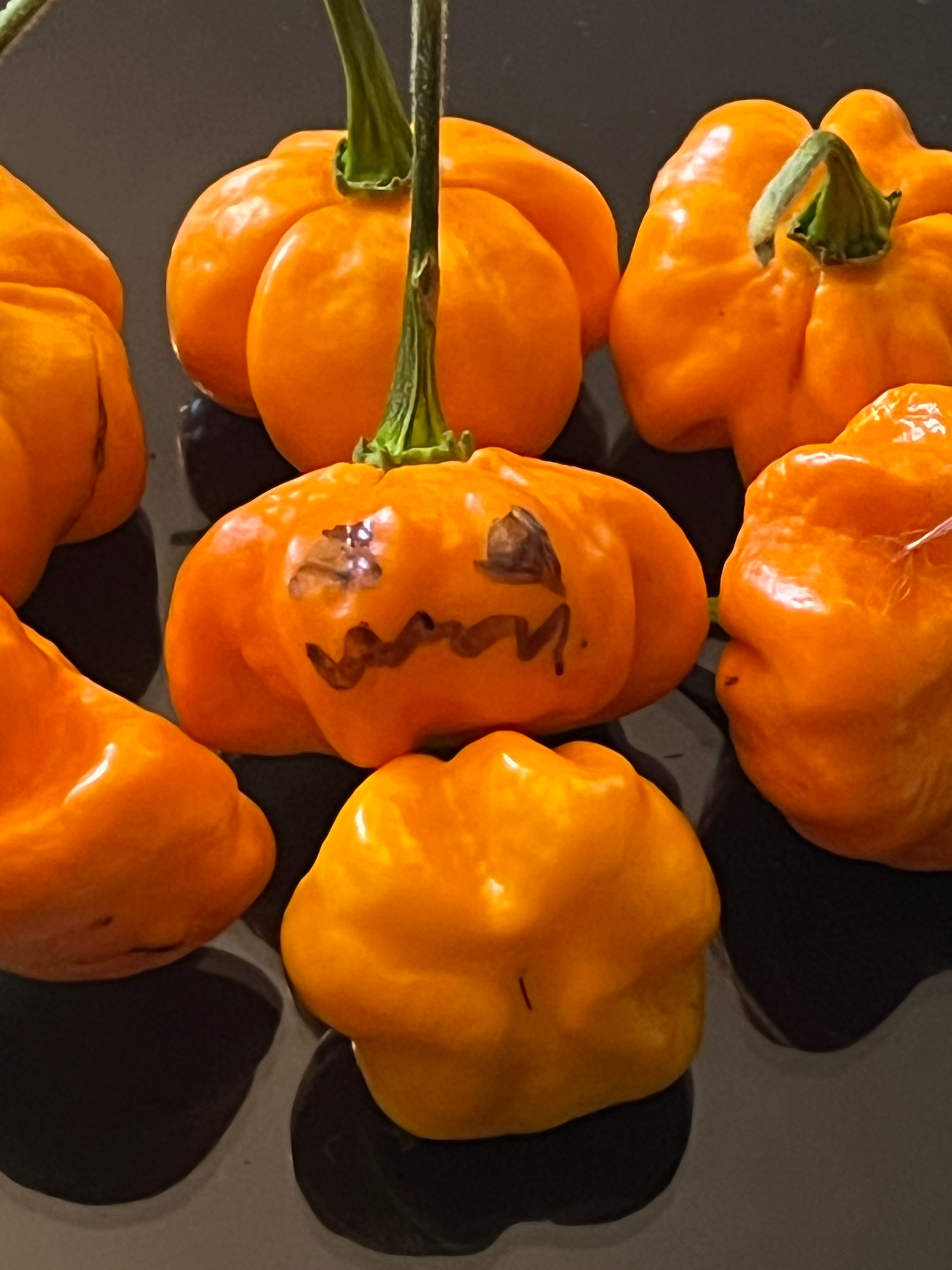 KS Sriracha orange pumpkins seeds