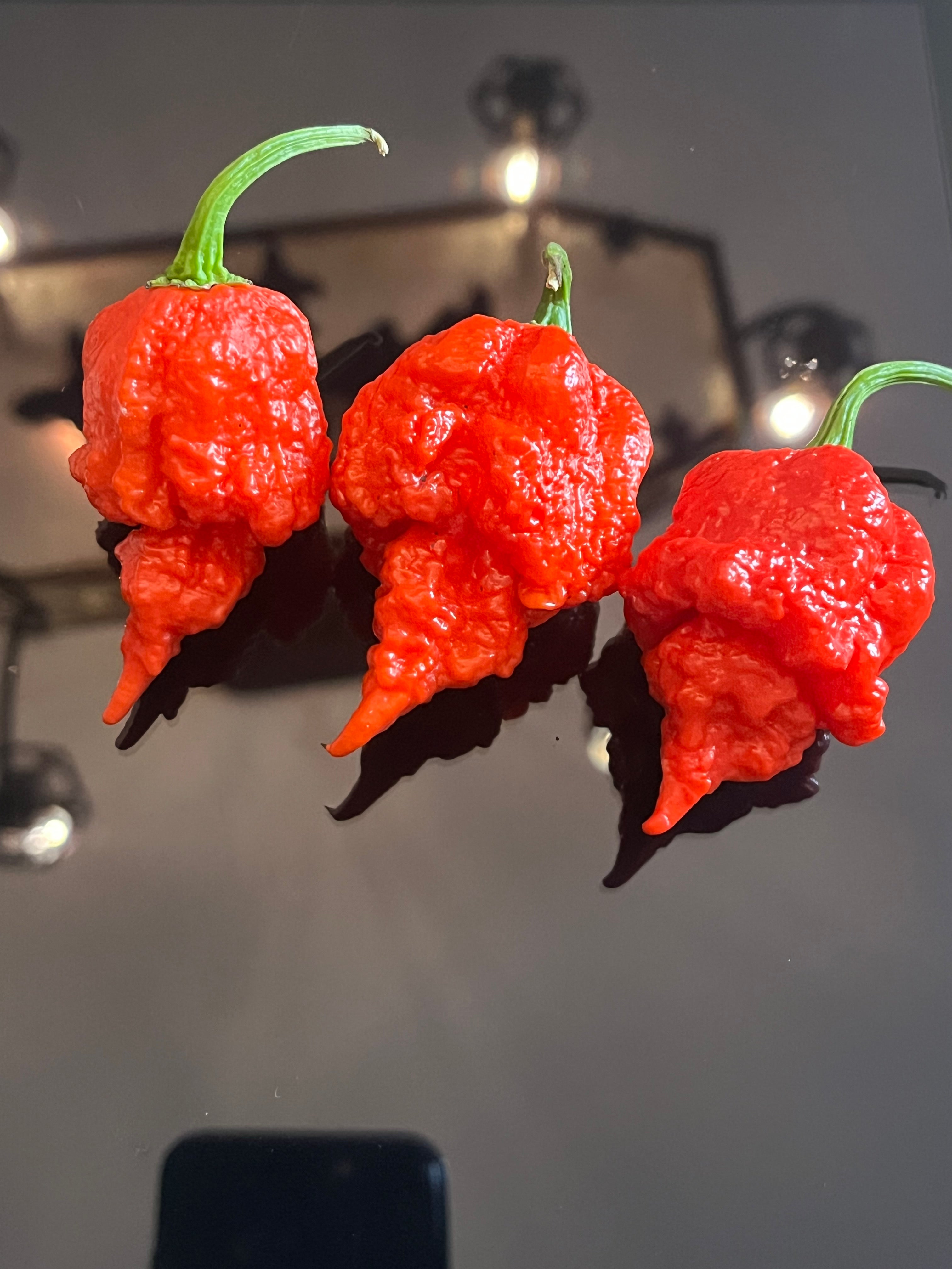 Beast seeds