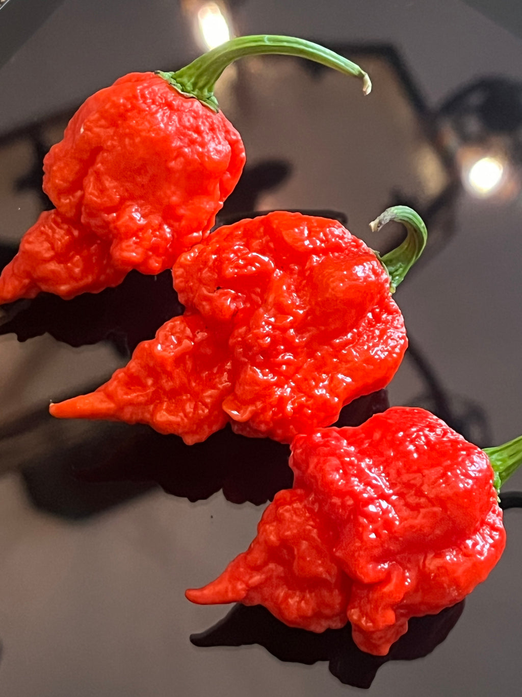 Beast seeds
