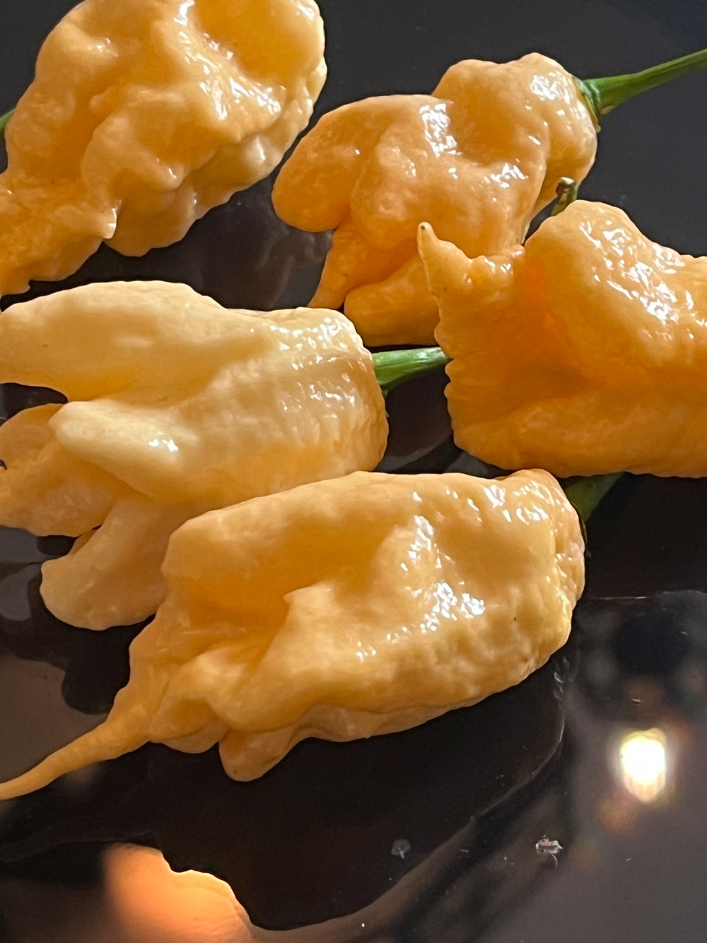 Jay’s peach ghost scorpion seeds